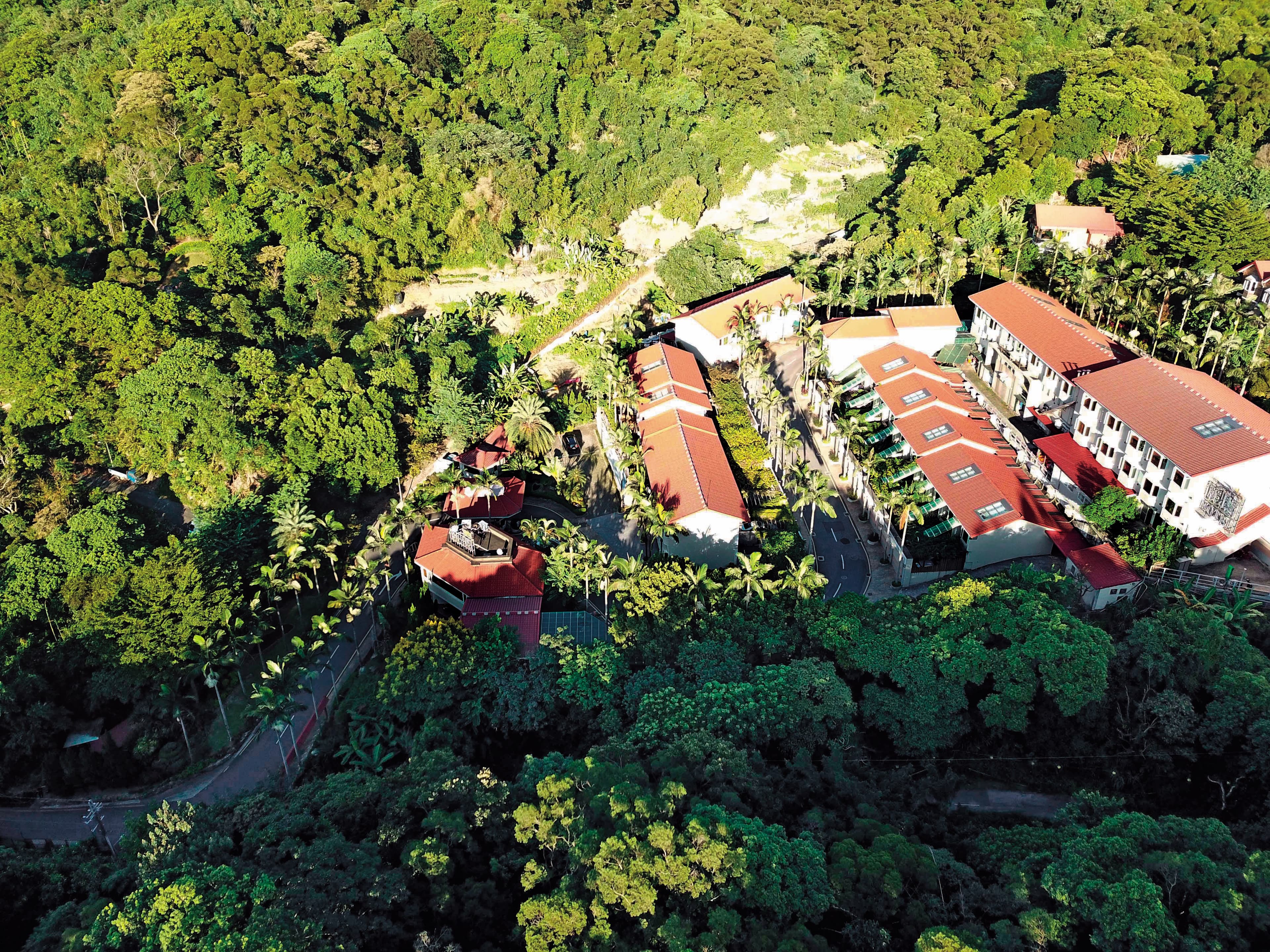偷情摩鐵位於偏僻山區,只有一條聯外道路。