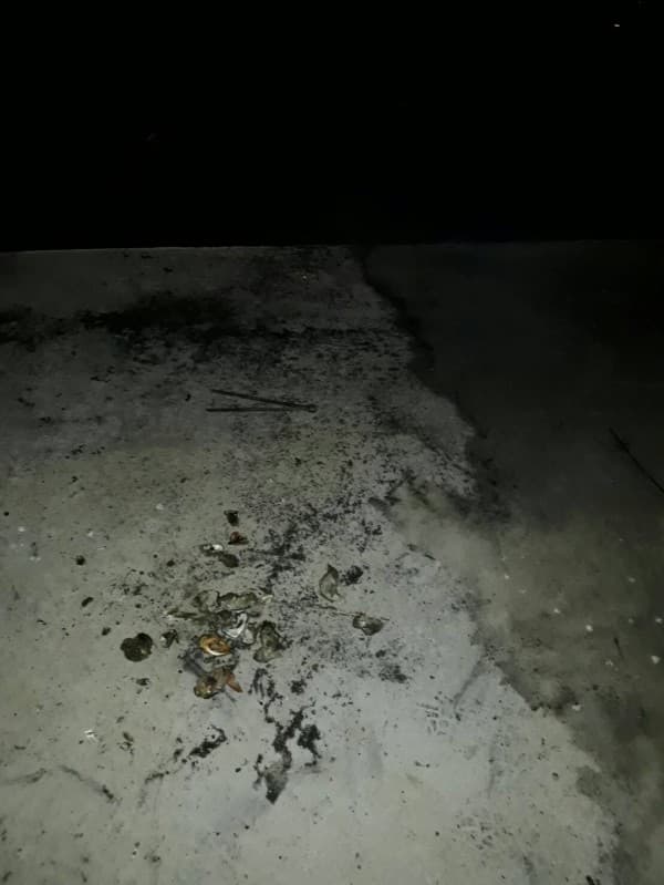 附近河堤上留有烤肉痕跡,不排除是因未撲滅炭火釀禍。(消防局提供)