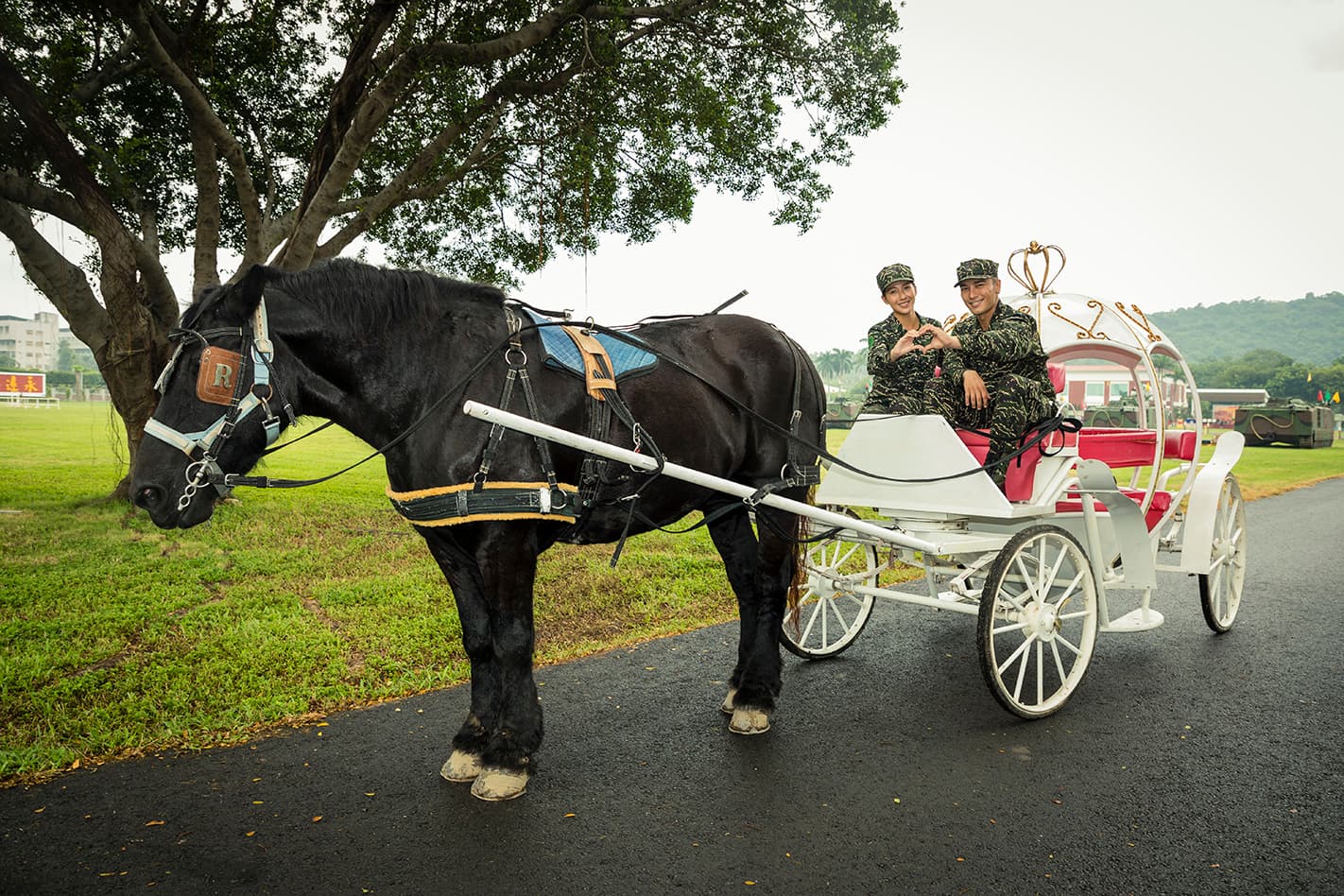 楊晴和羅平當上愛的馬車,對彼此表達愛意。(TVBS提供)