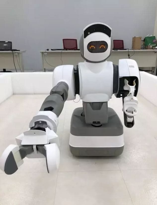 Aeolus Robotics 第一代機器人（來源：DeepTech）