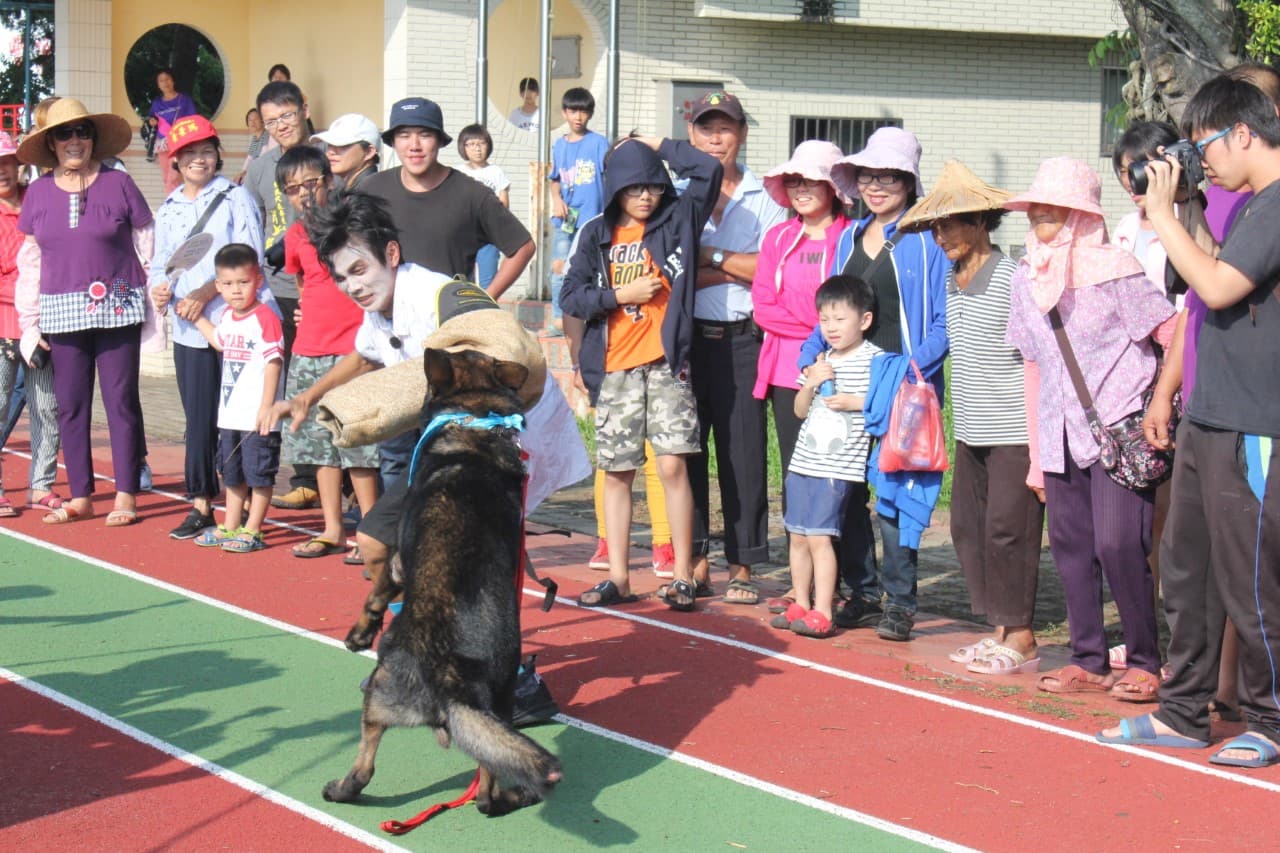阿翔搏命演出，還被訓練狼犬狠咬。（民視提供）