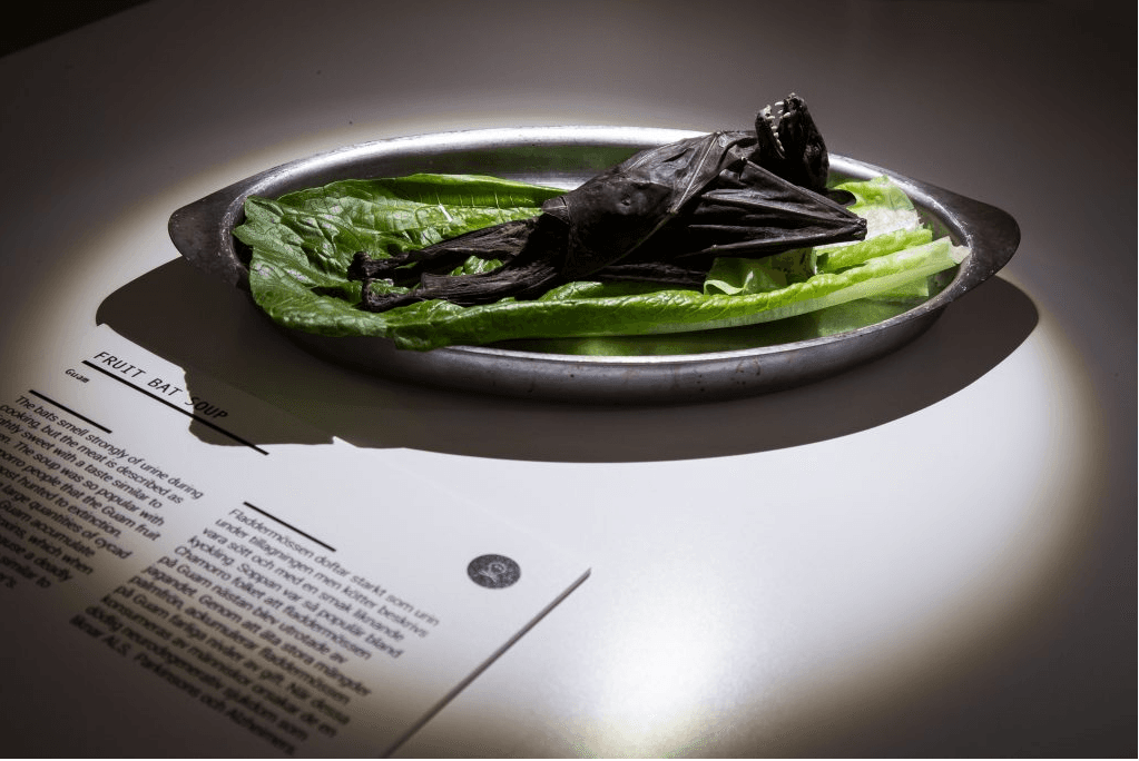 來自關島的炭烤蝙蝠（Disgusting Food Museum）