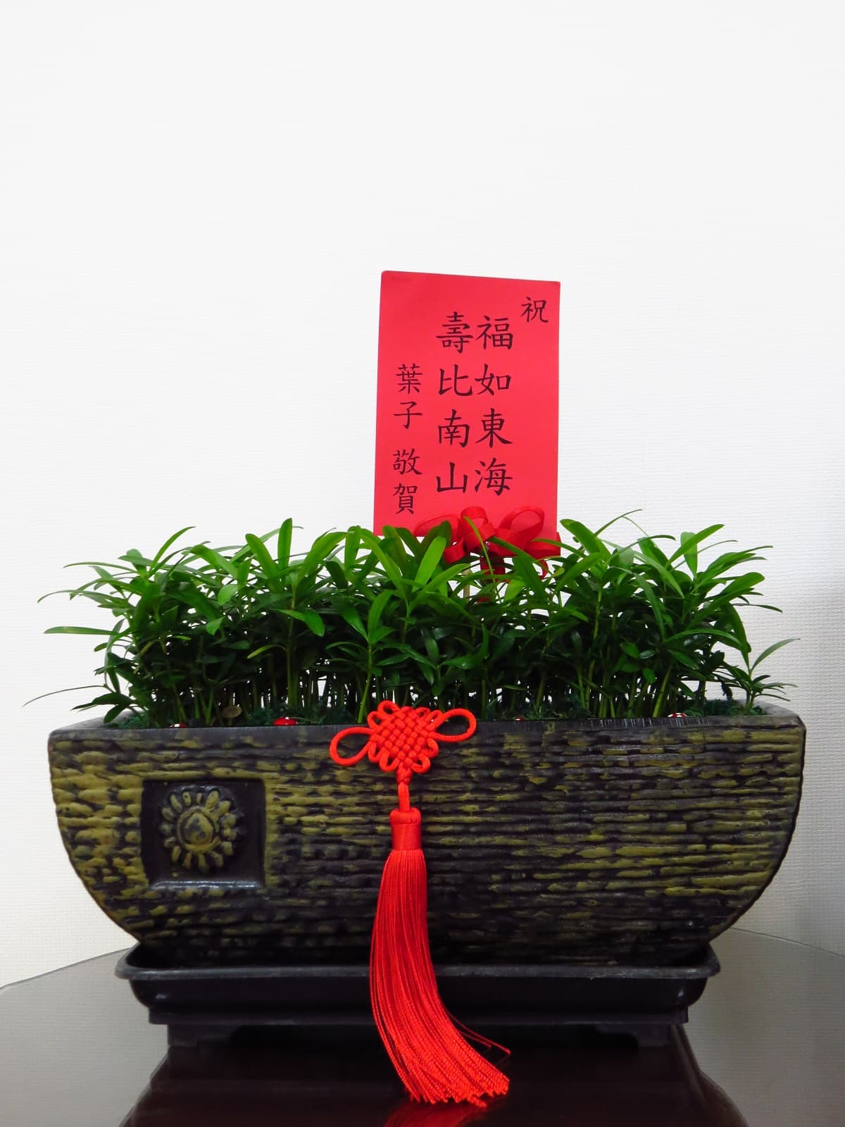 陳昭榮辦公室內放著葉全真送他的招財植物,賀詞還非常老派。(翰成數位提供)