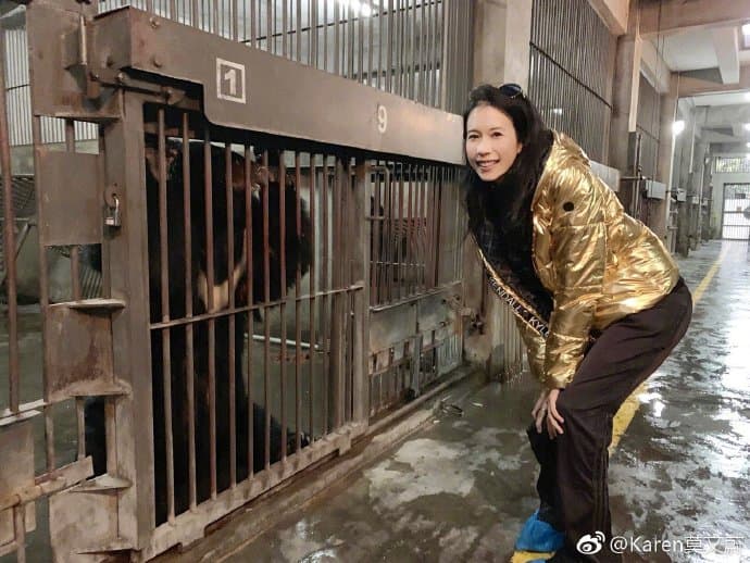 莫文蔚造訪位於成都的「亞洲動物基金」救護中心。（翻攝自莫文蔚微博）