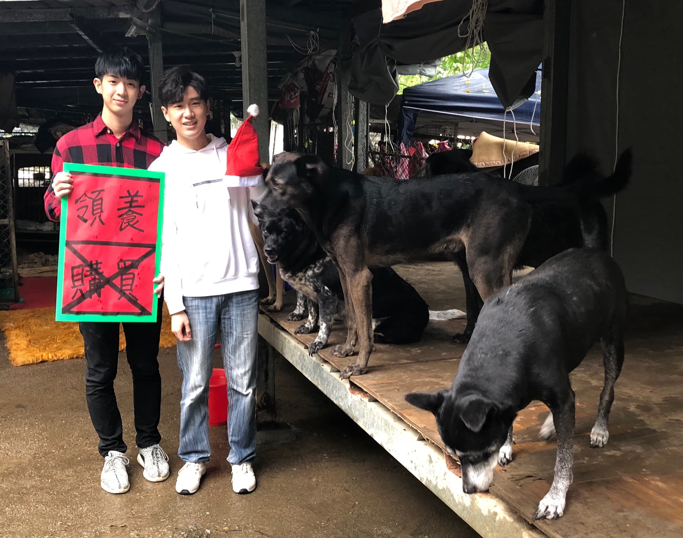 林亭翰、周書彥同門師兄弟趁著聖誕節前往流浪動物之家當志工，自己也是狗奴一族。（青田音樂提供）