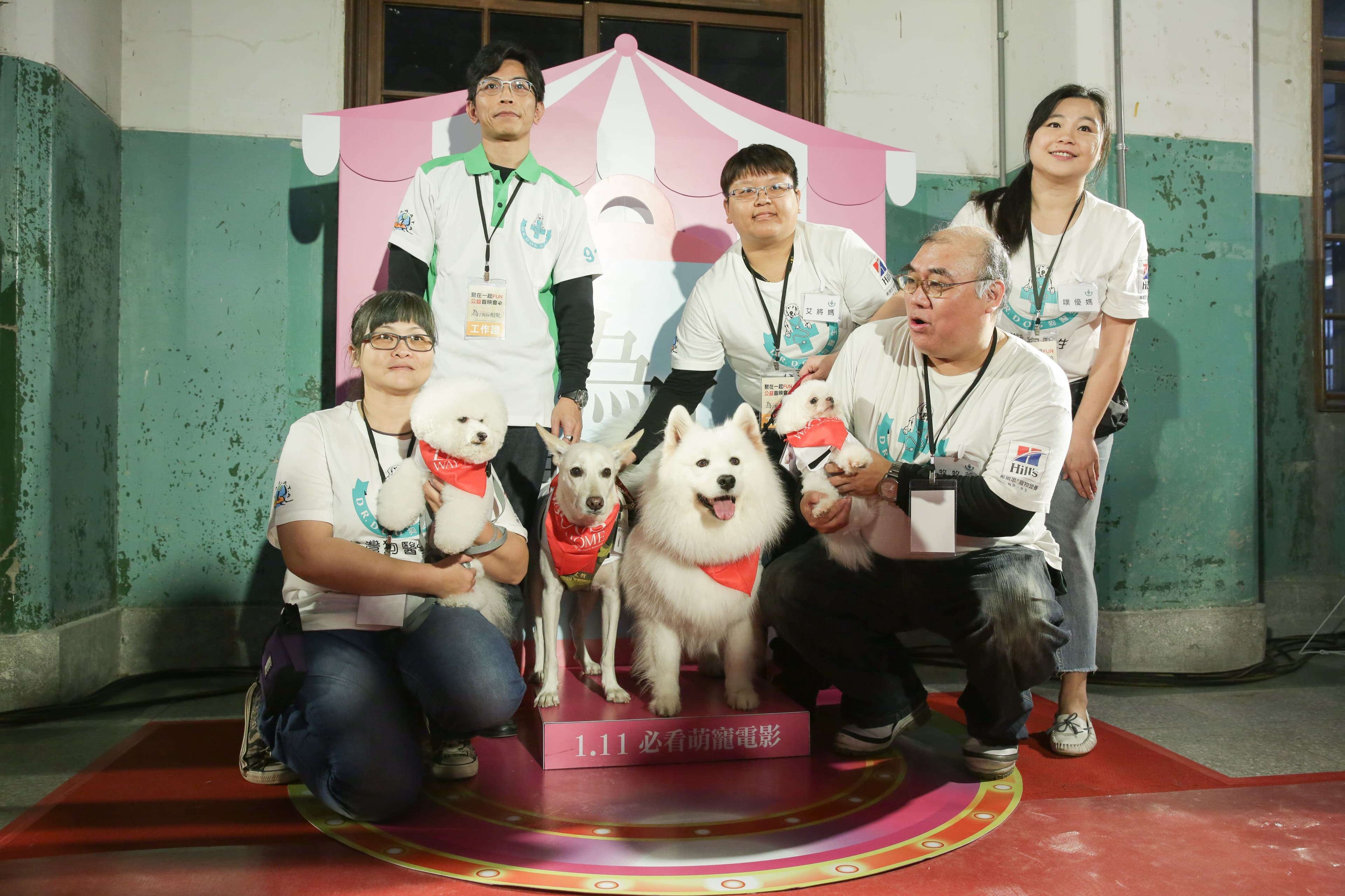 現場除了「台灣狗醫生協會」帶來的寵物外,也有上百位粉絲帶來自己的狗狗一起來觀影。