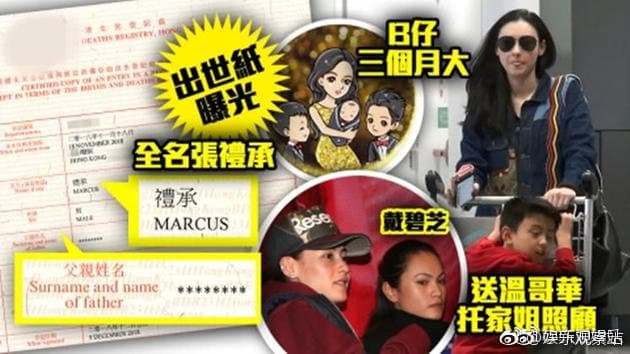 張栢芝三子小王子出生證明曝光,父親欄未登記,到底誰是生父只有張栢芝才知道。(翻攝自香港壹週刊)