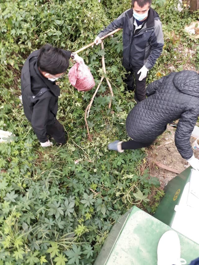 劉女將男嬰淹死後,棄屍家裡附近草叢中。(翻攝畫面)