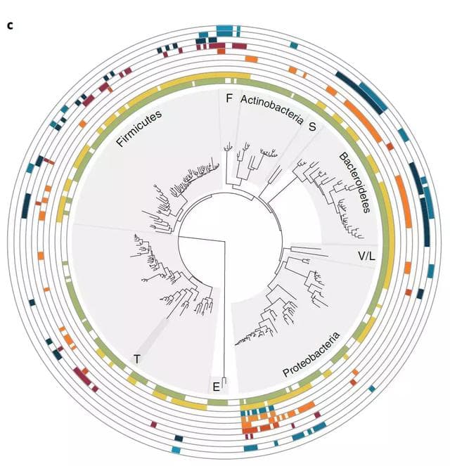 腸道基因組檢測(來源:The neuroactive potential of the human gut microbiota in quality of life and depression)