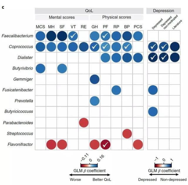 憂鬱症患者與正常人腸道菌群對比(來源:The neuroactive potential of the human gut microbiota in quality of life and depression)