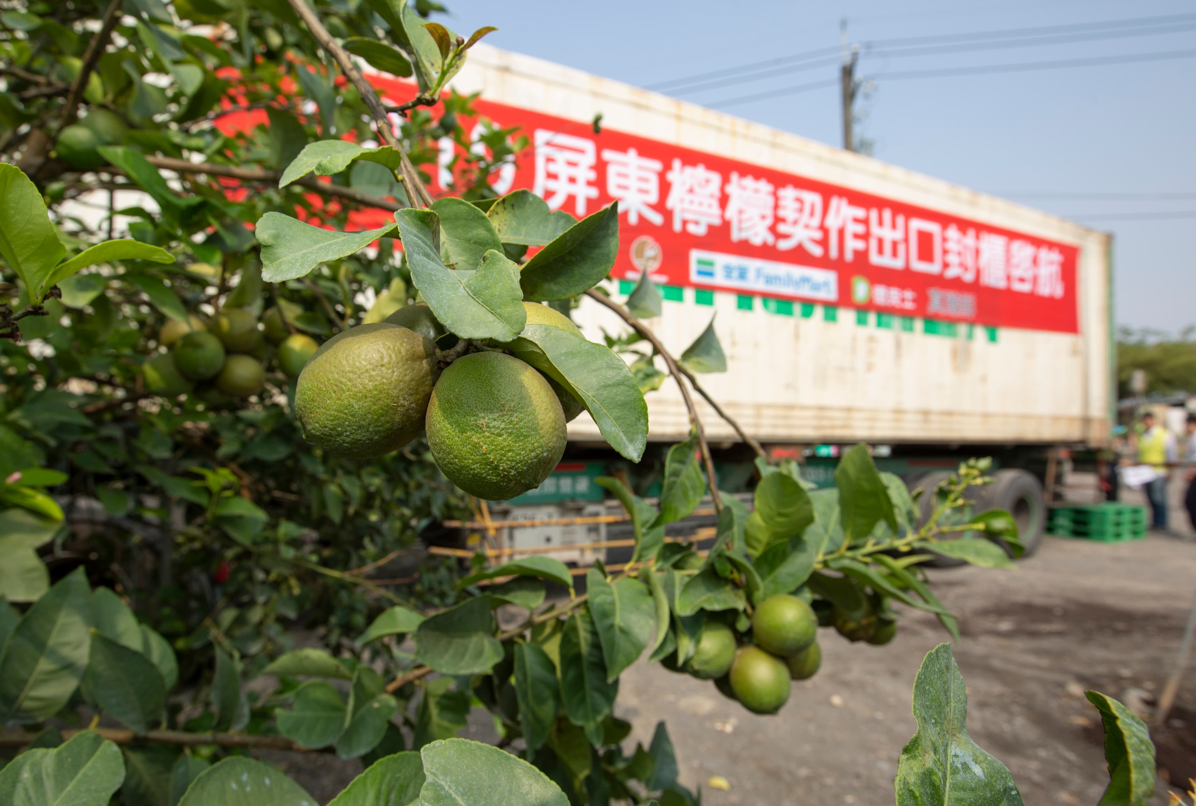 除了在台灣和大陸的德克士可以喝檸檬,從2017年起全球超過860個城市都可嘗到屏東檸檬好滋味。