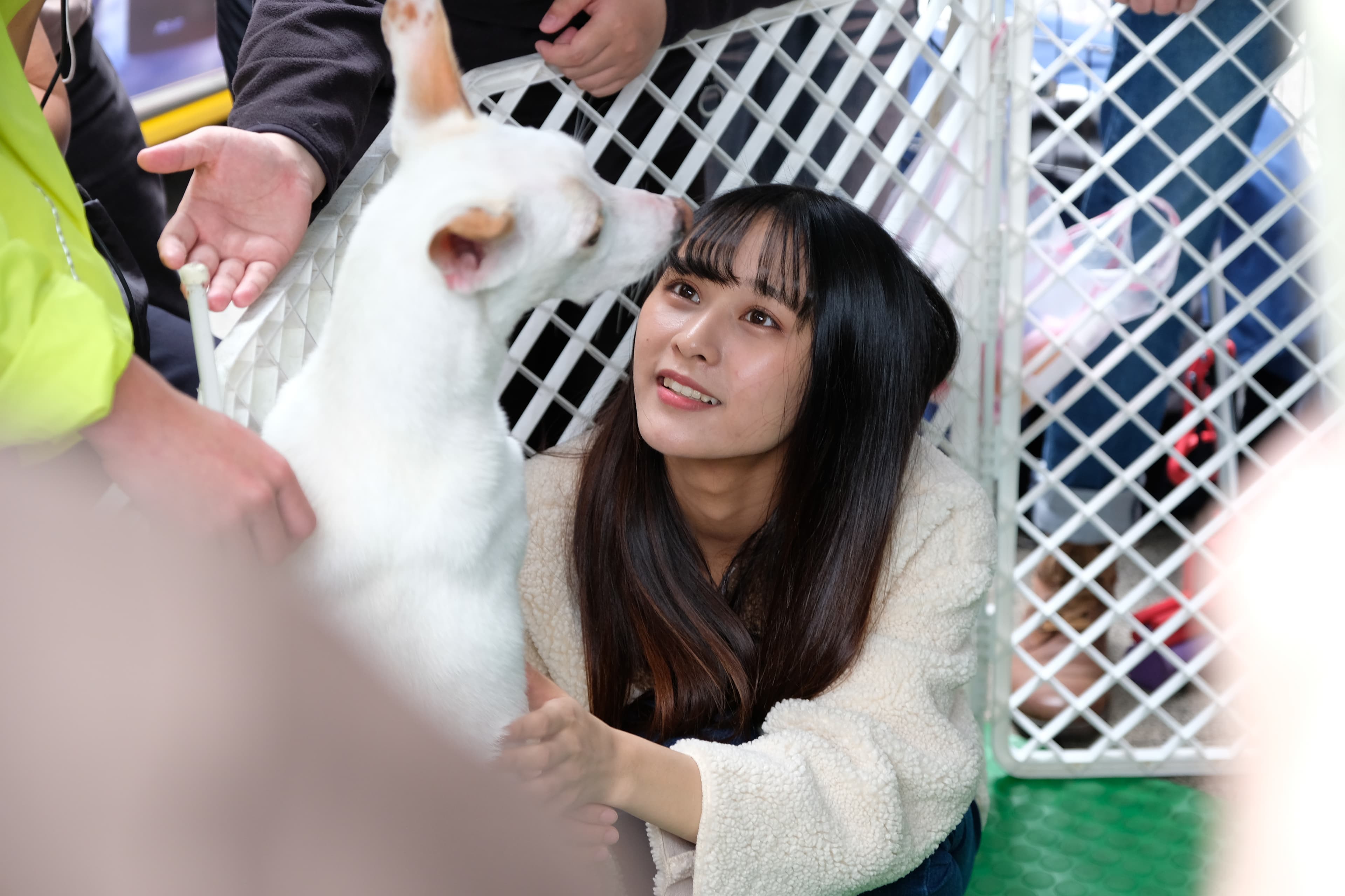 林倢現場和狗狗互動，愛寵物的她家中養了一隻銀狐叫「無骨」，目前相處短短1個月。（好言娛樂提供）