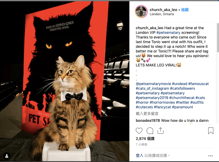 李奧雖然演出所有「邱邱」嚇人的恐怖戲份,還要被畫上「殭屍妝」,但倫敦VIP首映會上還是請到牠出席坐鎮。(翻攝Leo官方Instagram)