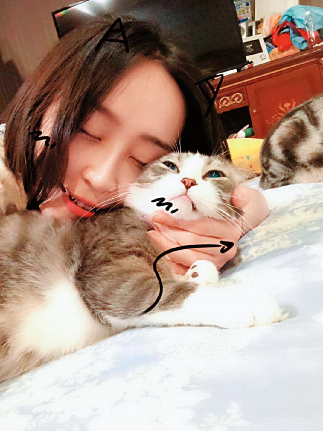 包子妹牟芝緹愛貓成性，她說家裡養了20多隻貓，與貓的互動也成了短影的最佳素材。（翻攝自牟芝緹臉書）