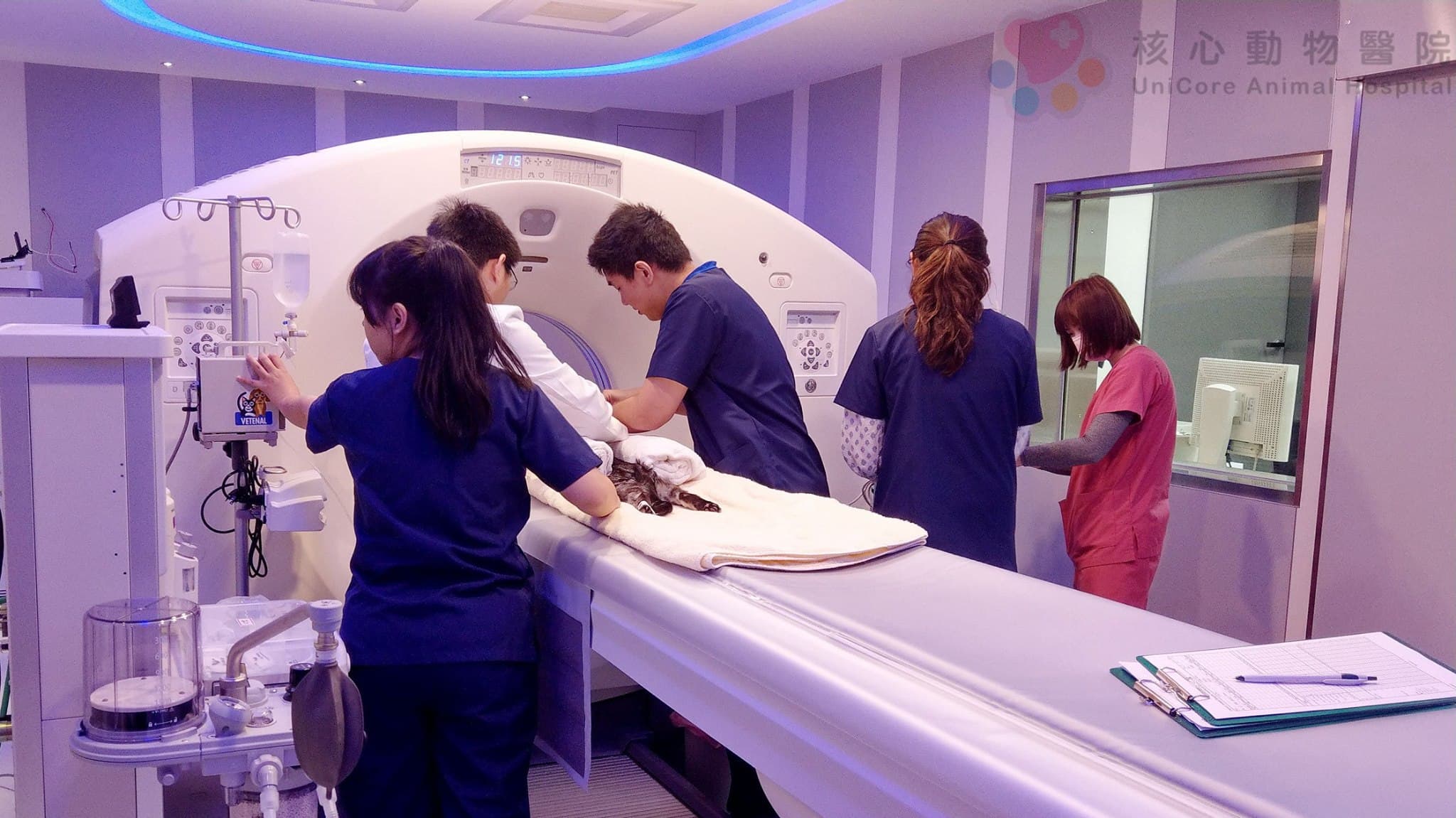 仁寶轉投資宇核生醫旗下的核心動物醫院導入電子化病歷,收集寵物疾病大數據。(翻攝自核心動物醫院)