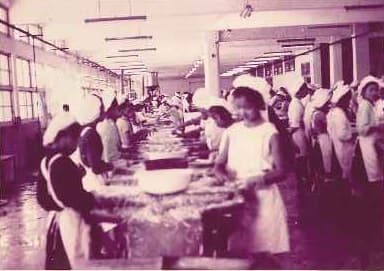 東和食品早期是生產蘆筍、洋菇罐頭起家,早年現場作業員多是年輕女工。(東和食品提供)