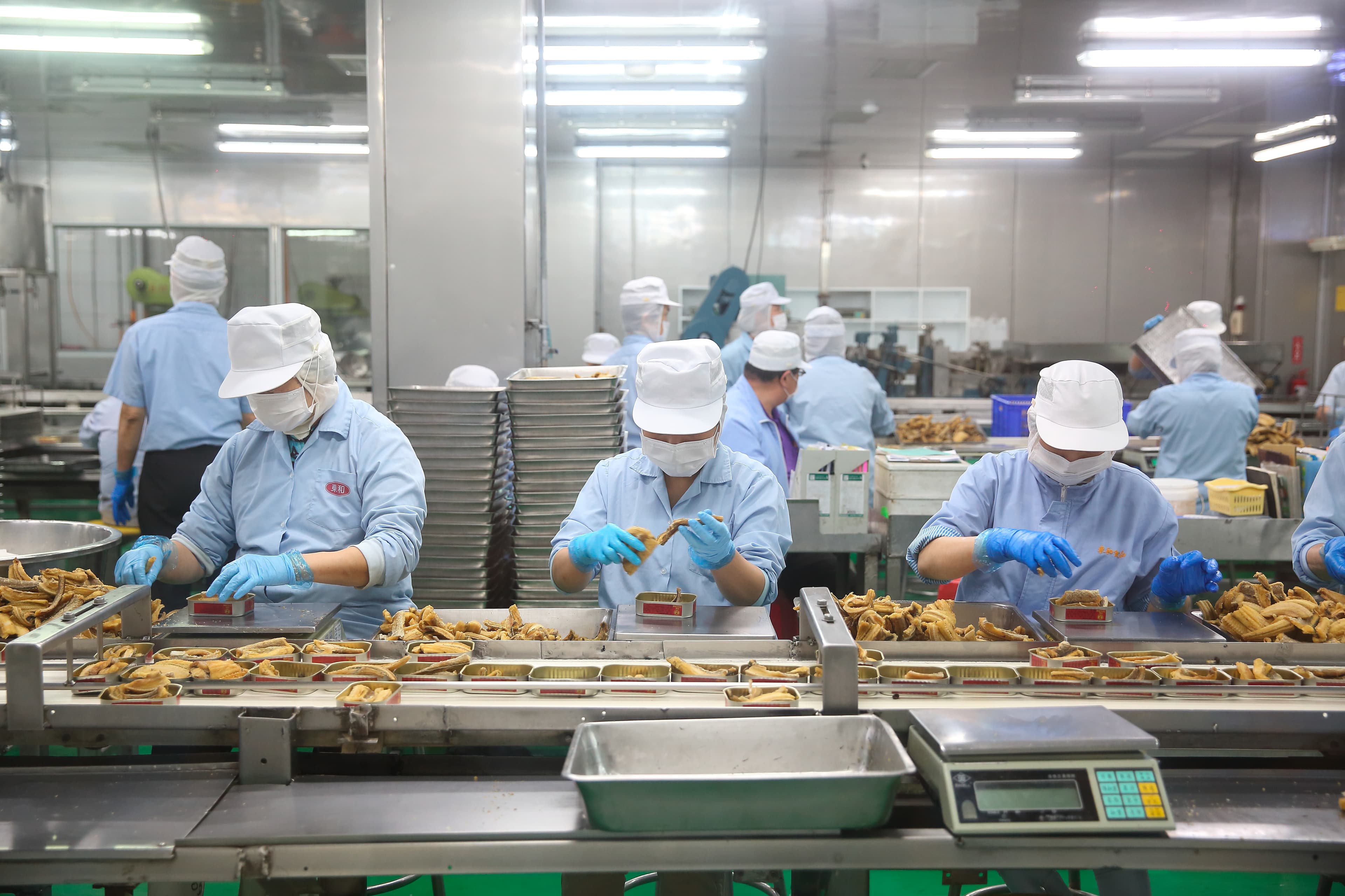 傳統鰻魚罐頭多採酥炸、泡料二次加工，好媽媽將食材直接裝罐，再用機器添料殺菌，肉質較柔軟。