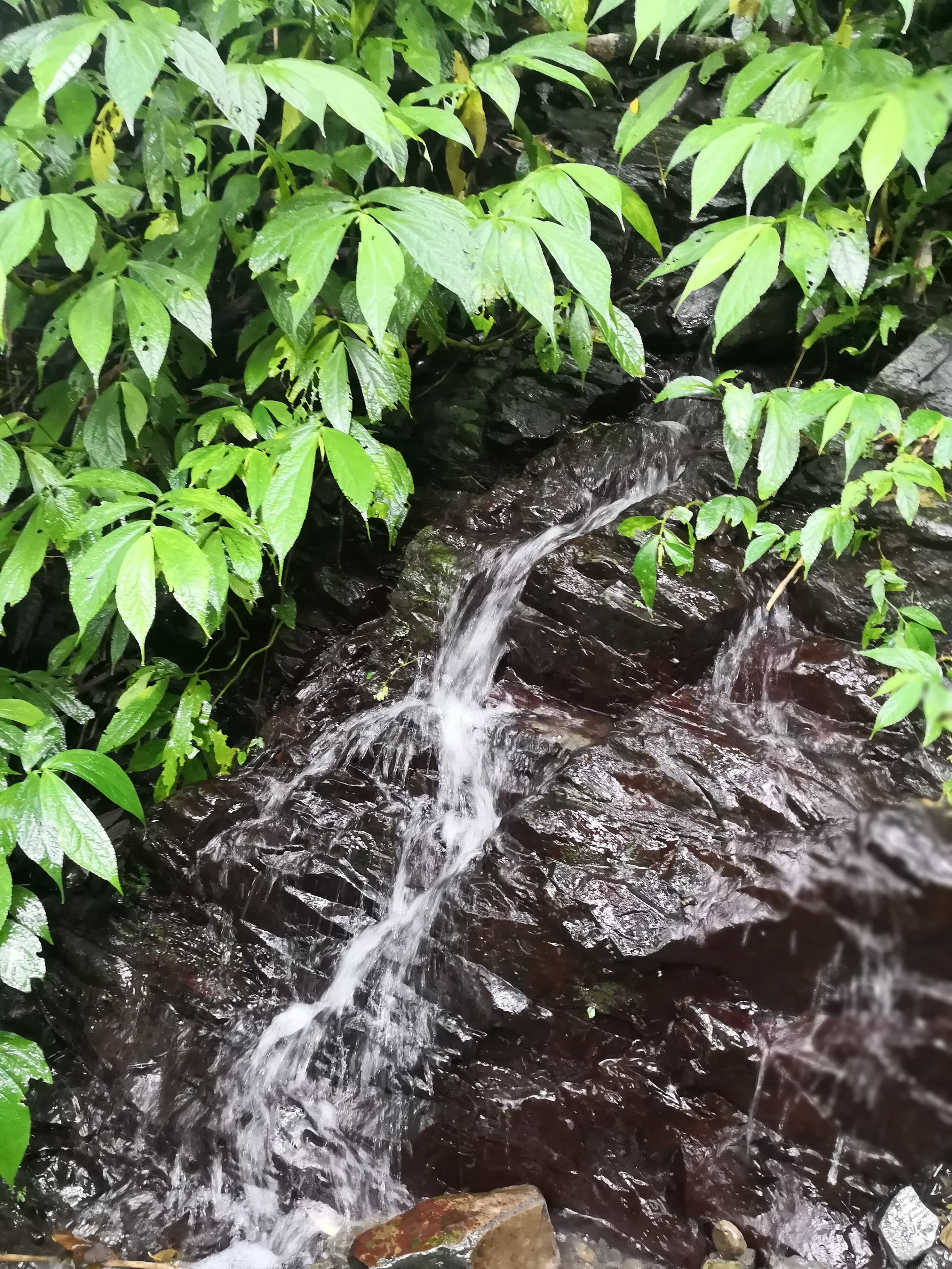 走郊山,很容易遇到活水源。