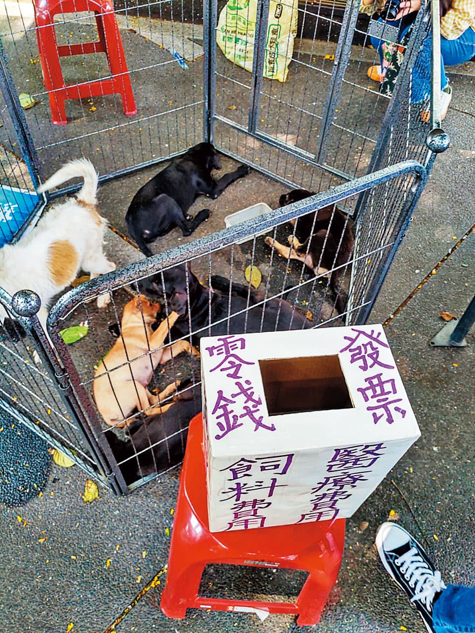 認養會場除了2攤成立協會,接受主管機關監督,其餘均屬非法募款。