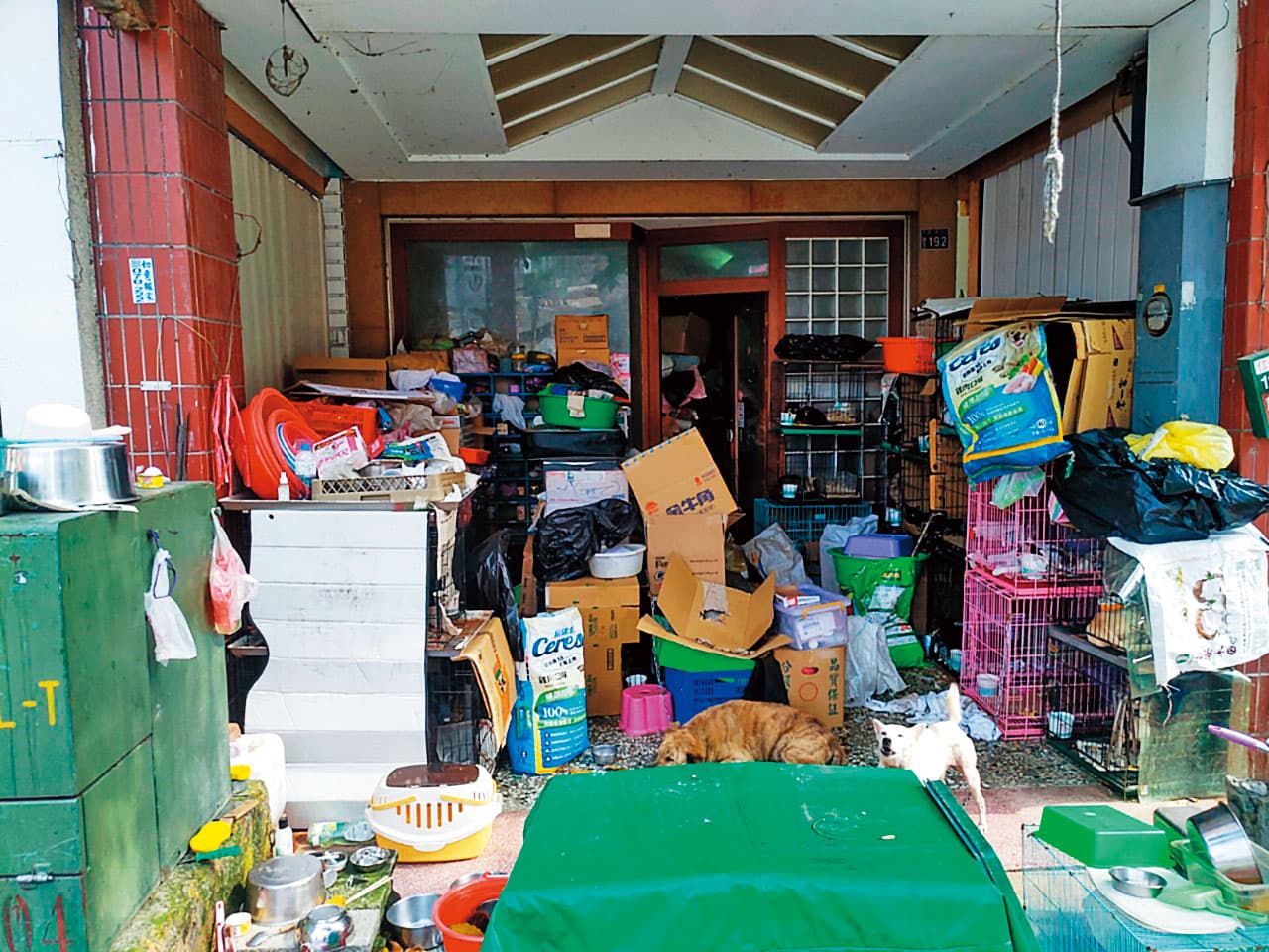 蕭新鳳在台中市漢口路鬧區的狗場髒亂、惡臭,鄰居受不了,環保局也很頭疼。