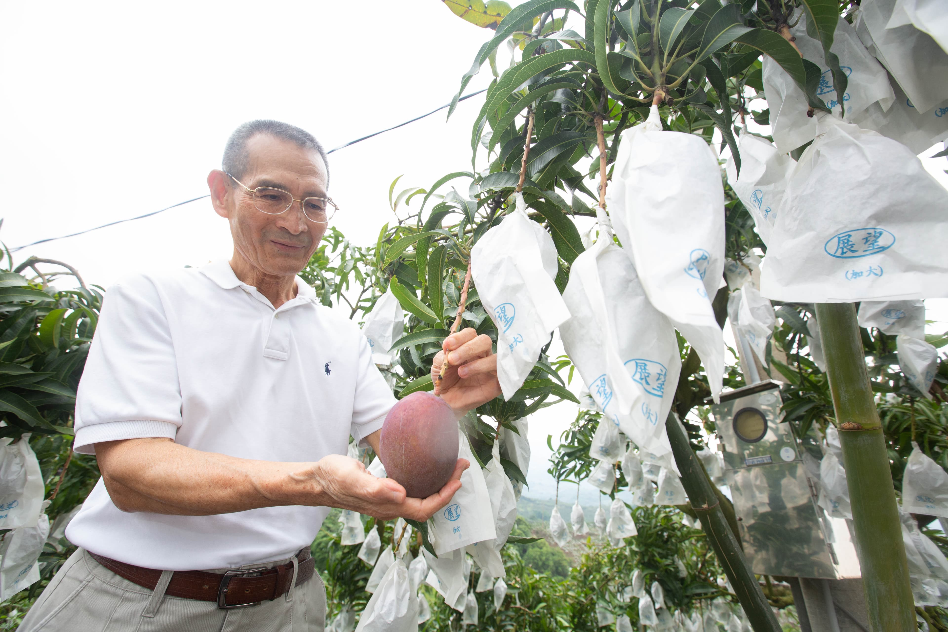 陳盈貴是家中獨子,他不顧母親反對隻身到菲律賓開發市場,卻讓母親一氣之下病重去世。