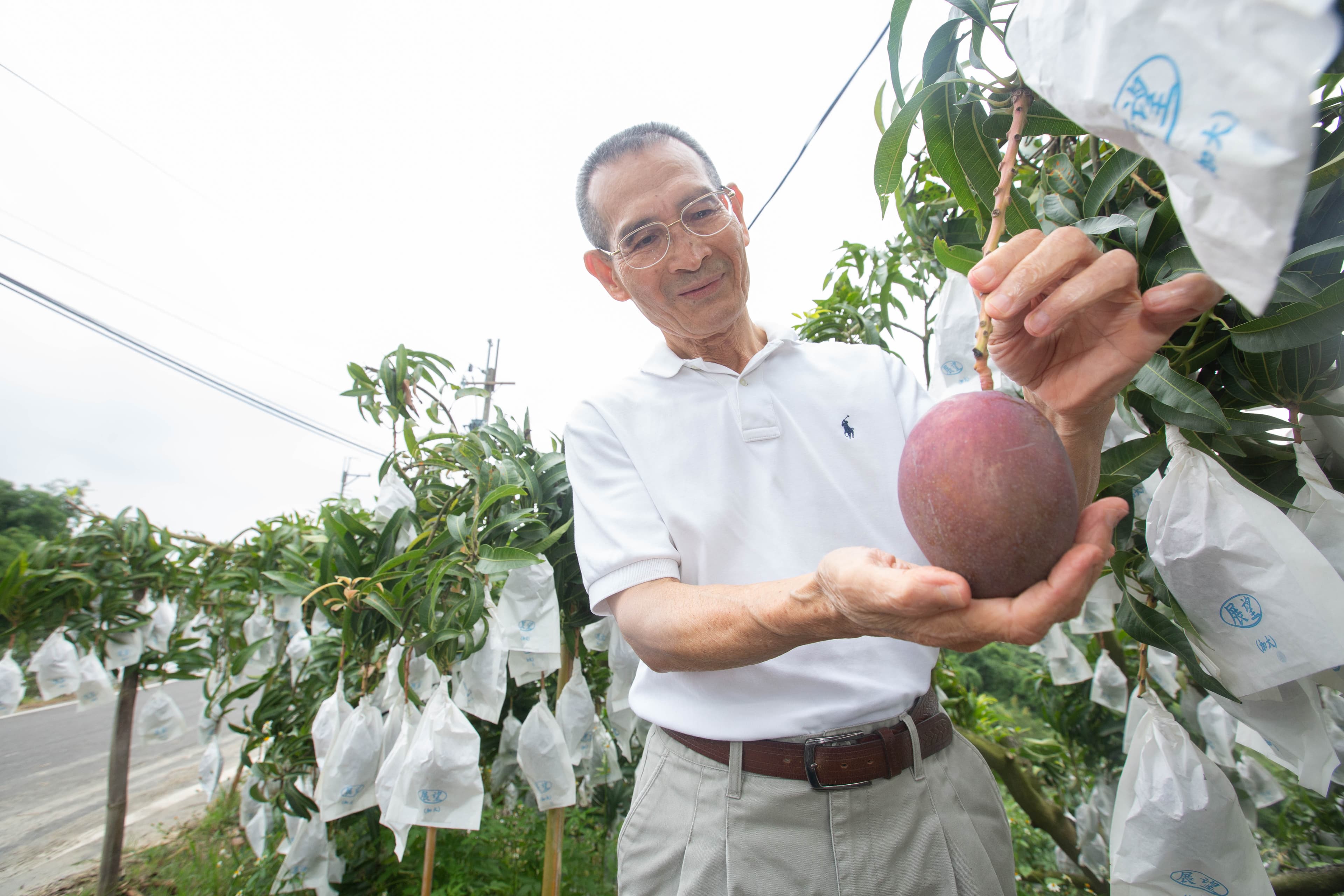 失子之痛,讓陳盈貴一度萎靡了半年多,幾個朋友硬拉他出門,他才重新振作。