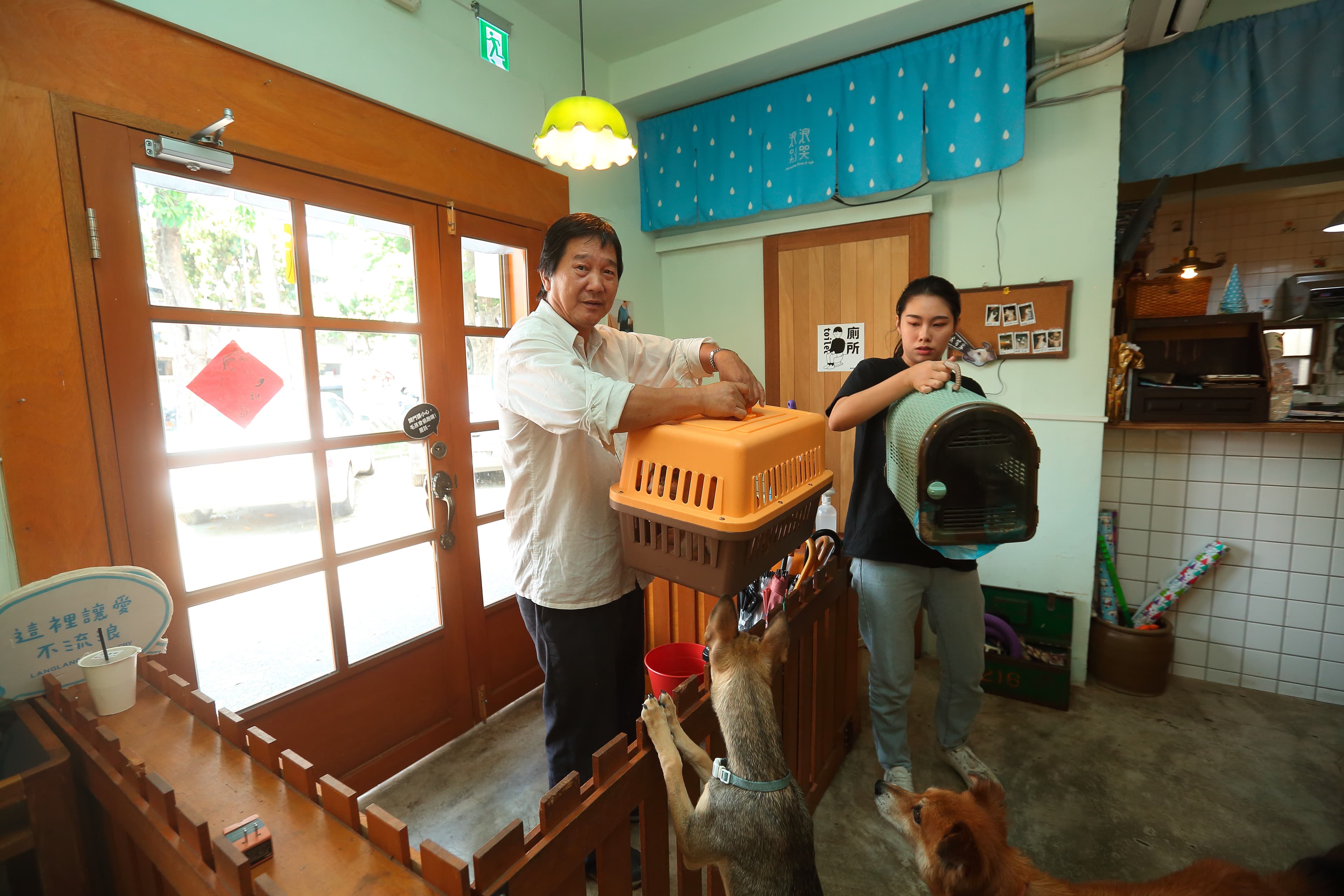 浪浪別哭店內送養的流浪動物，大多由愛媽救援，譚柔進行動物送養與行銷規劃。