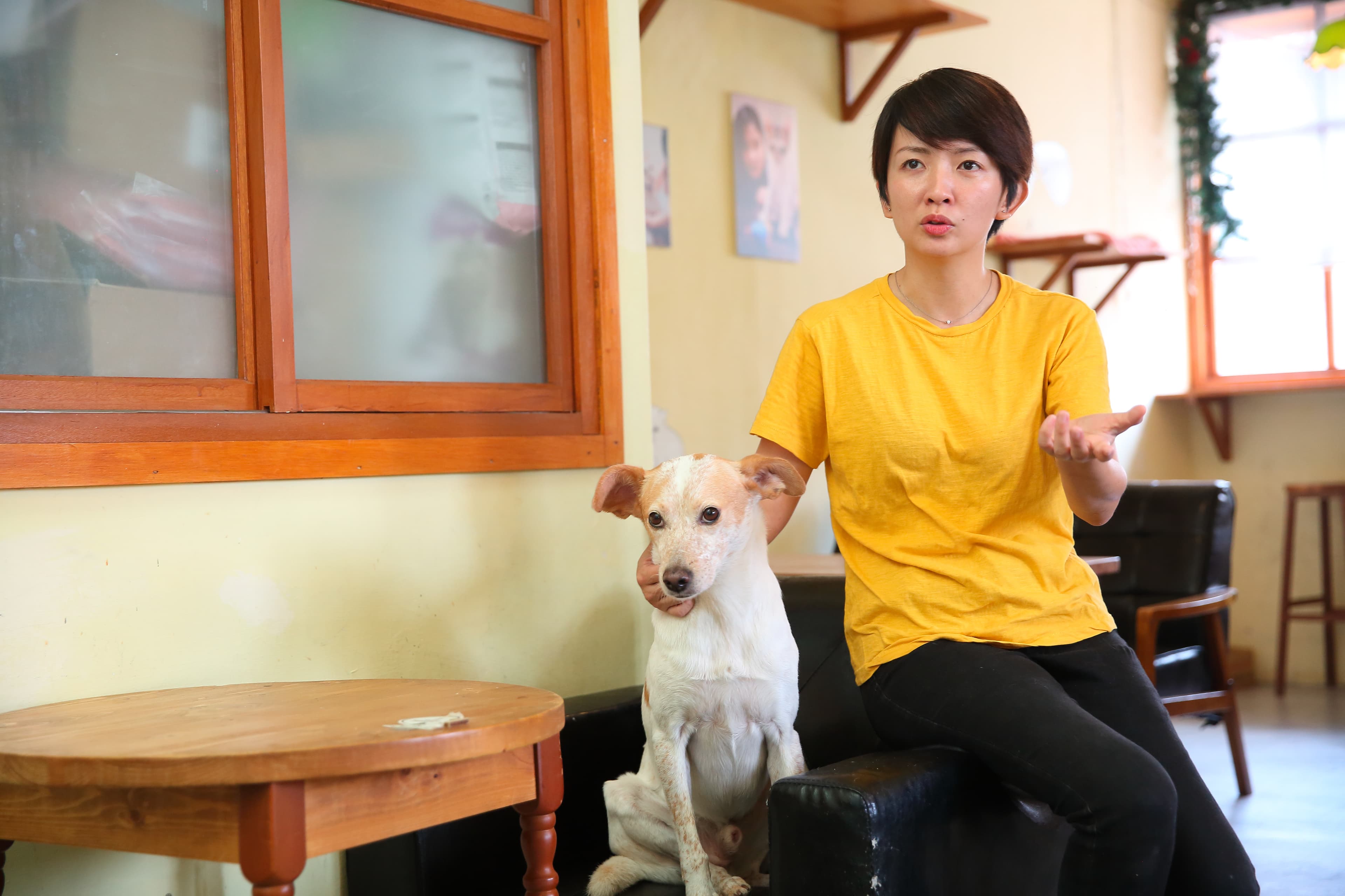 創業之路一切看似順利，但譚柔仍遇過不少因為小問題退養貓狗的飼主。