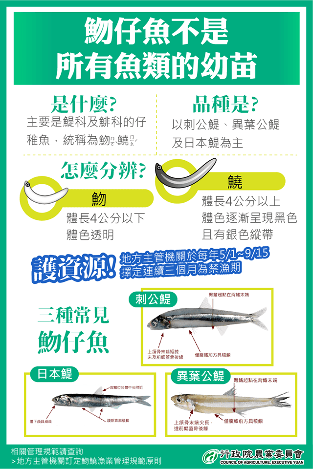 農委會一張圖解析魩仔魚非各種魚類幼苗。(翻攝農委會臉書)
