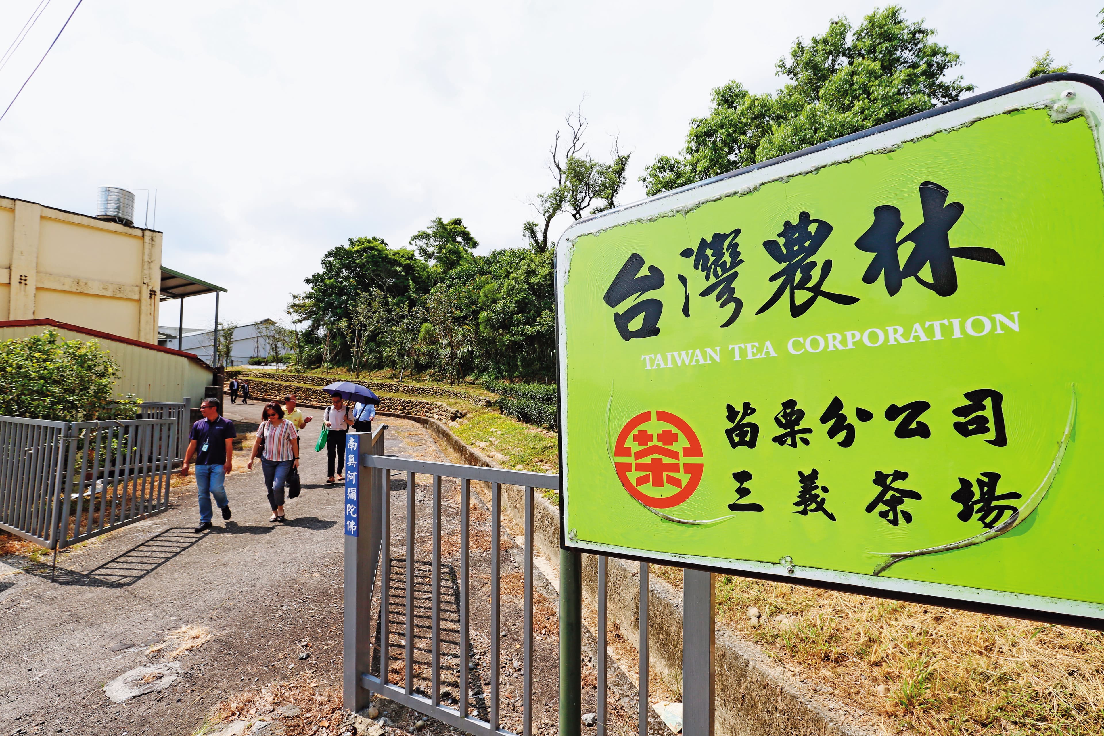 農林是百年茶廠,近年已轉型為土地開發商。