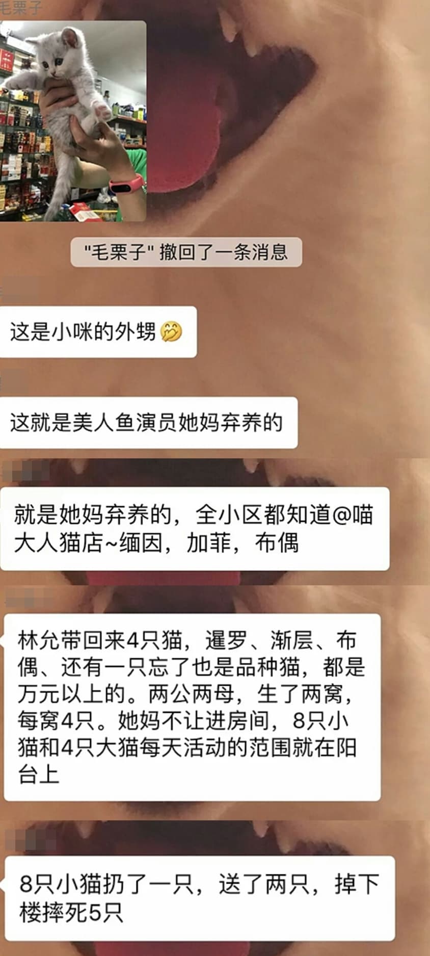 對話紀錄中看出有人疑似與林允媽媽住同一小區,爆料林允媽媽棄養貓咪,還有5隻小貓摔死。(晉江論壇)