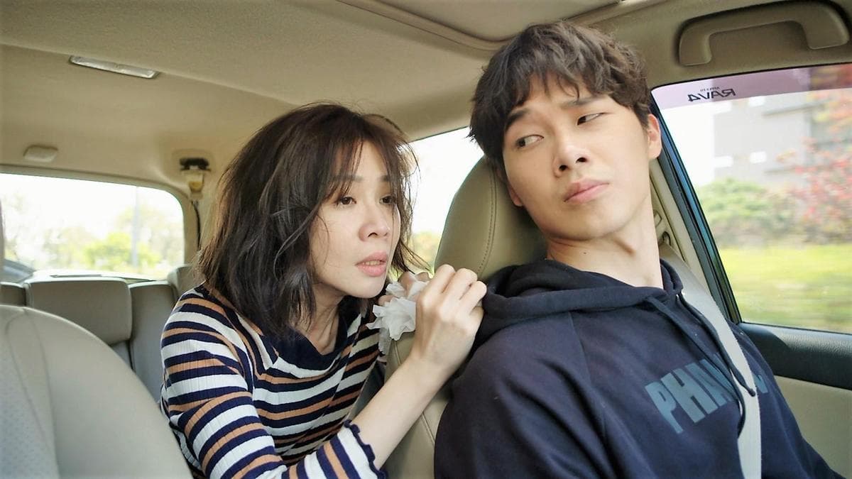 陳嘉玲告別感情與工作,被弟弟開車押回老家。謝盈萱飾演的陳嘉玲在車程上展現「悲傷五階段」,演技大獲好評。(華視提供)