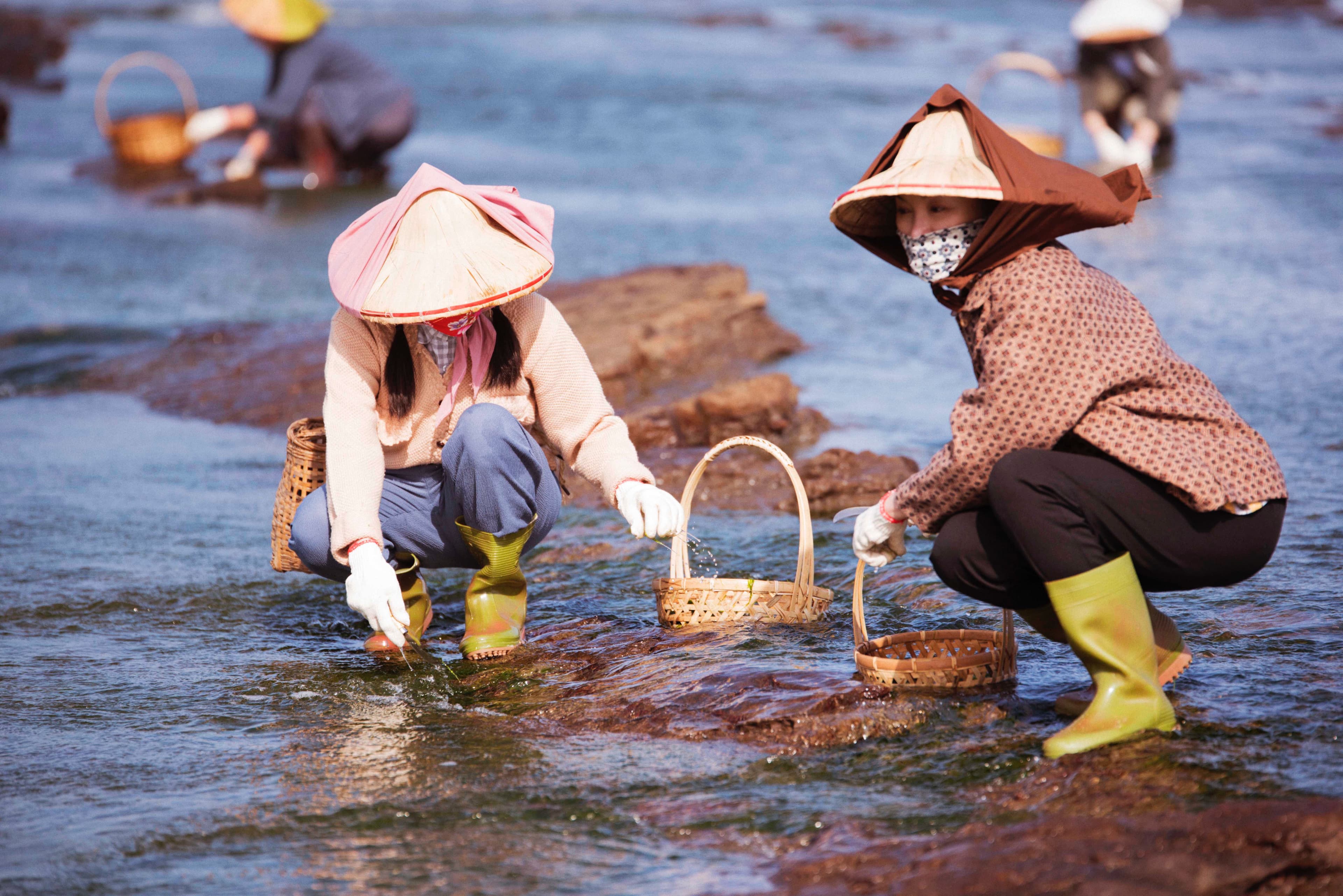 這場「採海菜」的海邊戲,拍攝當天風浪相當大,張瓊姿本來是用跪的採海菜,瞬間海水暴漲,風浪又大站都站不穩。(公視提供)