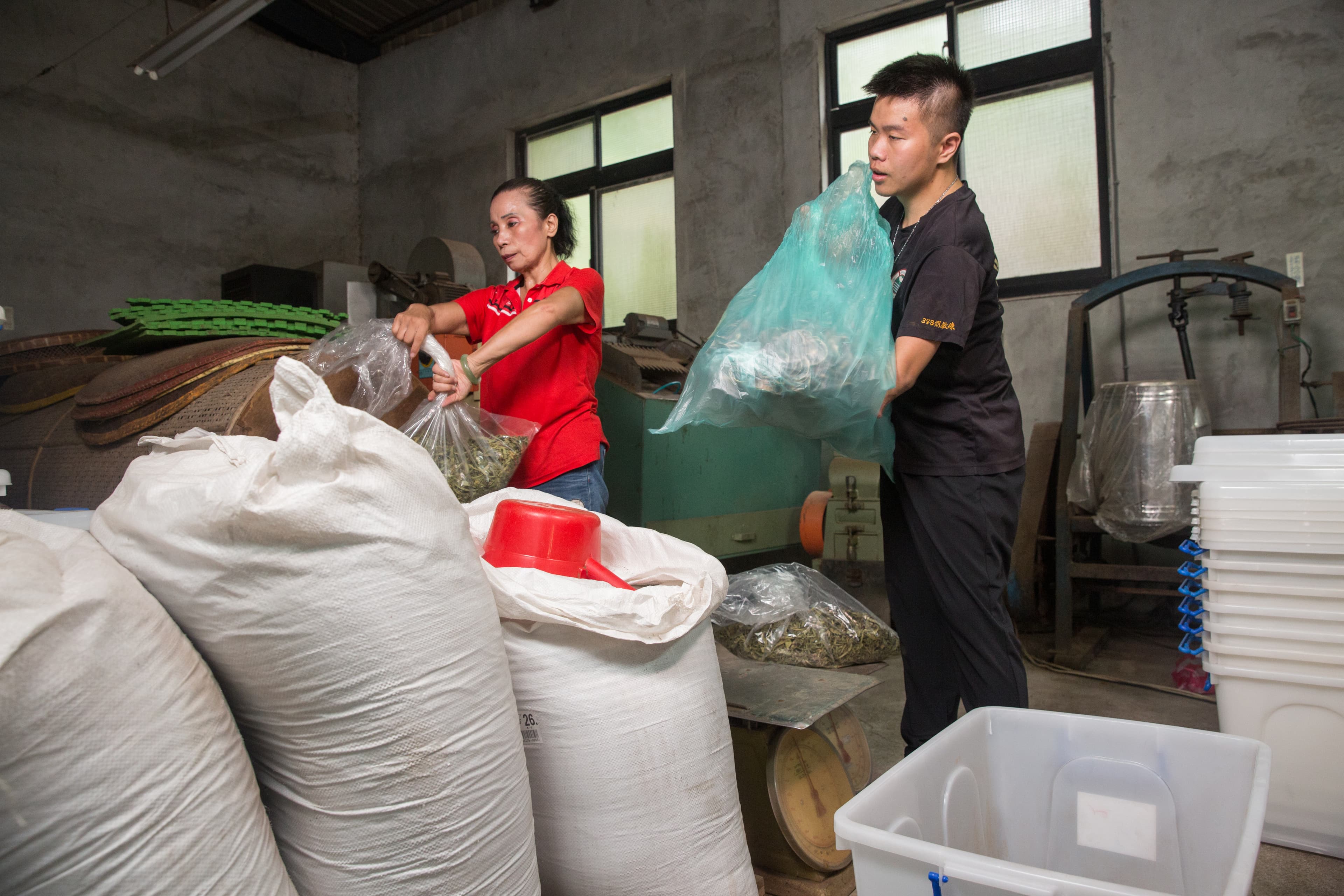 詹翔欽與媽媽正在準備製茶包的原料。