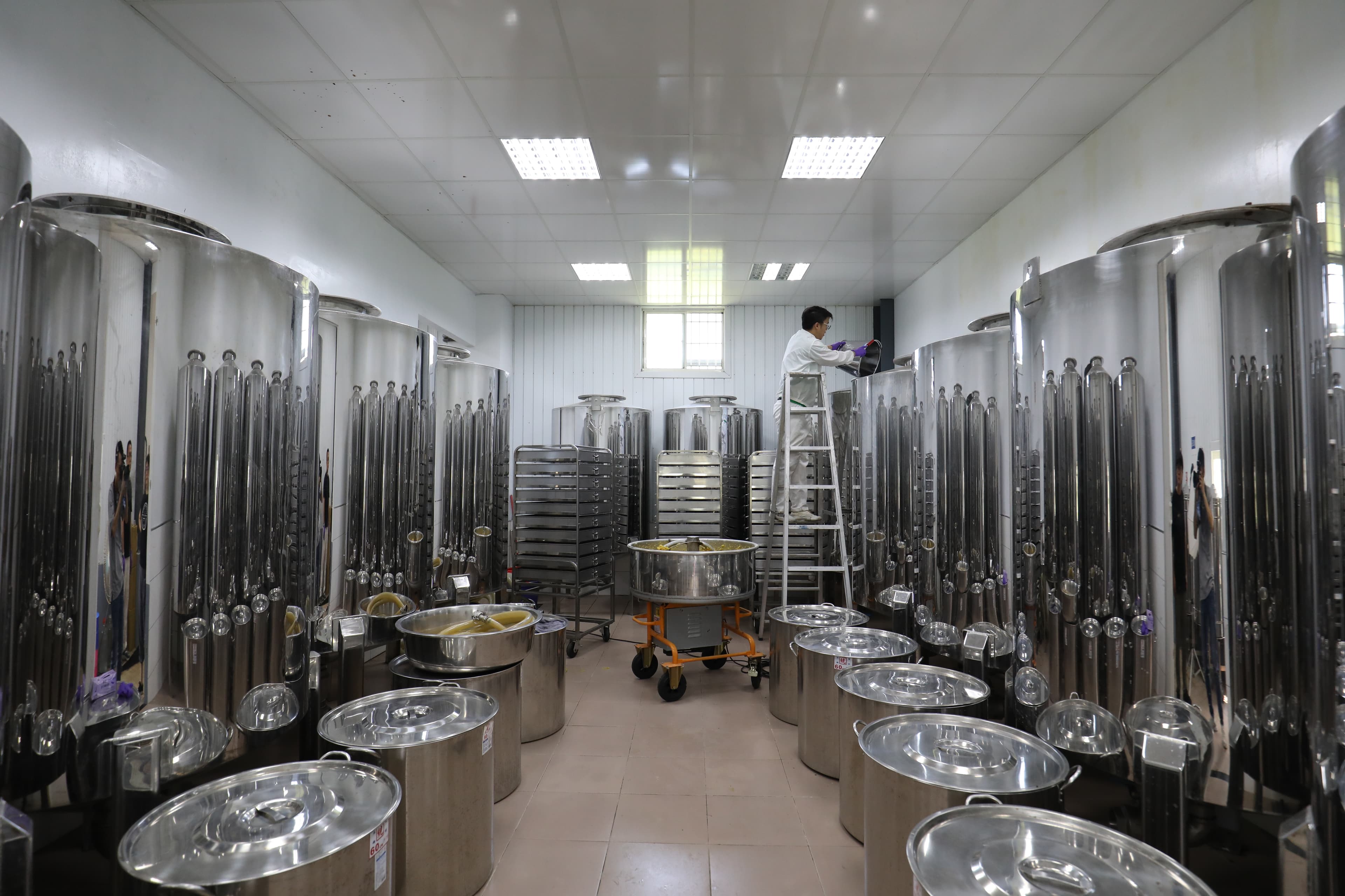 地瓜漿加水後，入不鏽鋼桶發酵約80天。