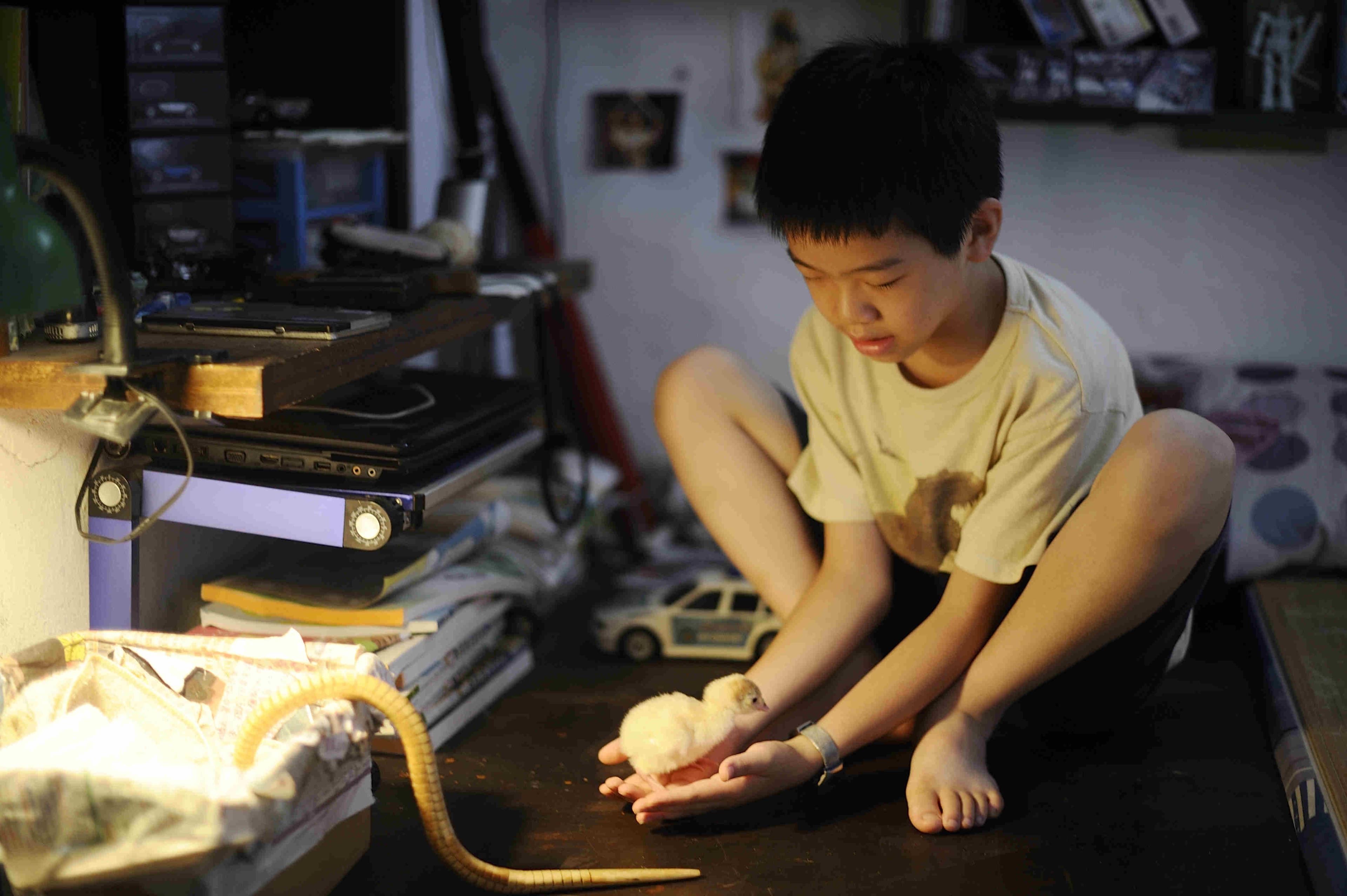 片中小孫子成功孵出火雞,殊不知整段也是用電腦特效打造。(海鵬提供)