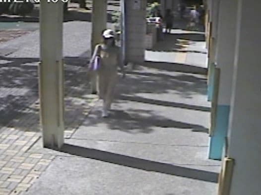 戴男多次戴著帽子、假髮、口罩,身著女裝闖進校園行竊。(翻攝畫面)