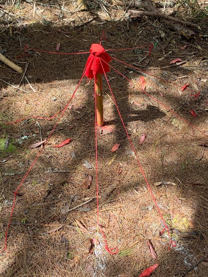 塔塔加東埔山登山步道旁矗立一根包裹紅布的木樁,讓不少人看了心裡發麻。(翻攝自臉書社團登山借問站)