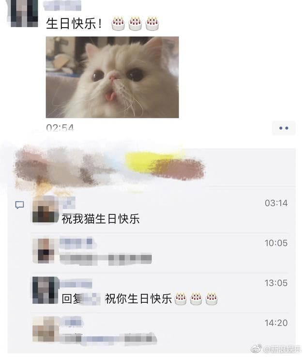 范冰冰的愛貓之一「小白妹妹」恰巧與前男友李晨同一天生日。(圖/翻攝自微博)