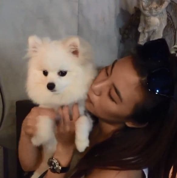 Bella常在IG中曬出高以翔愛犬。(翻攝Bella IG)