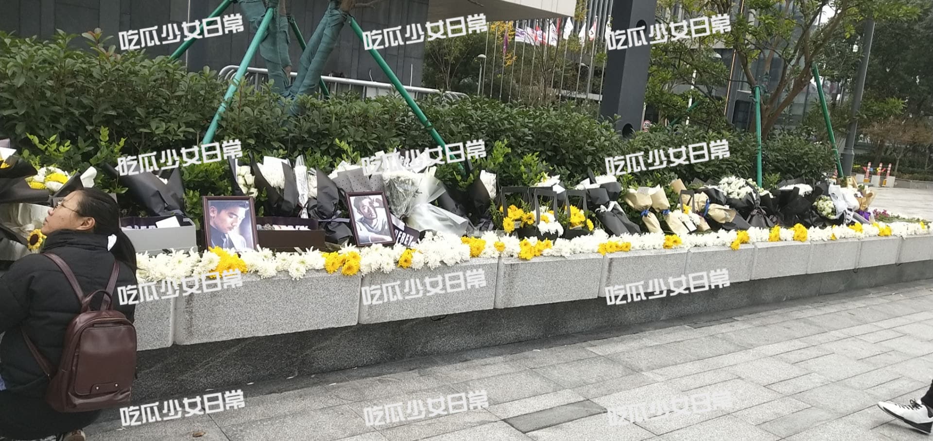 在高以翔倒下的花壇上布滿鮮花。(百度百家號吃瓜少女日常提供)