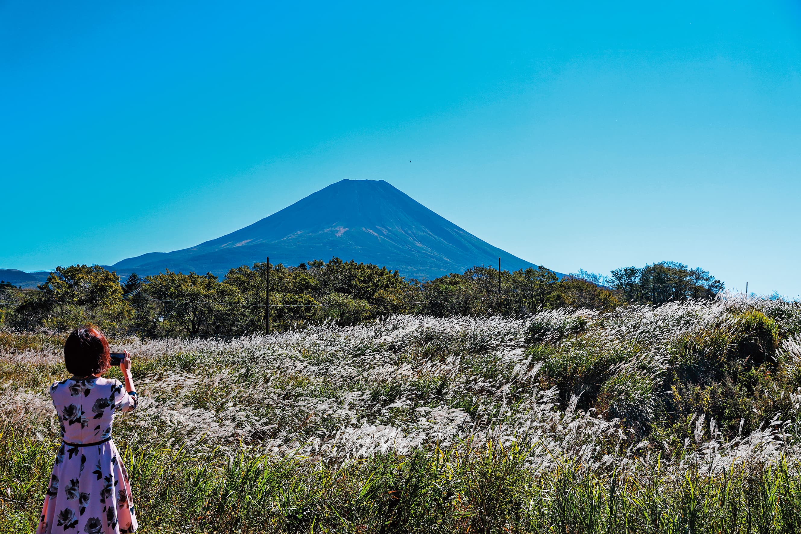 秋颱剛過,天空中一絲雲都沒有,在靜岡的公路旁,可看到富士山最乾淨的線條樣貌。