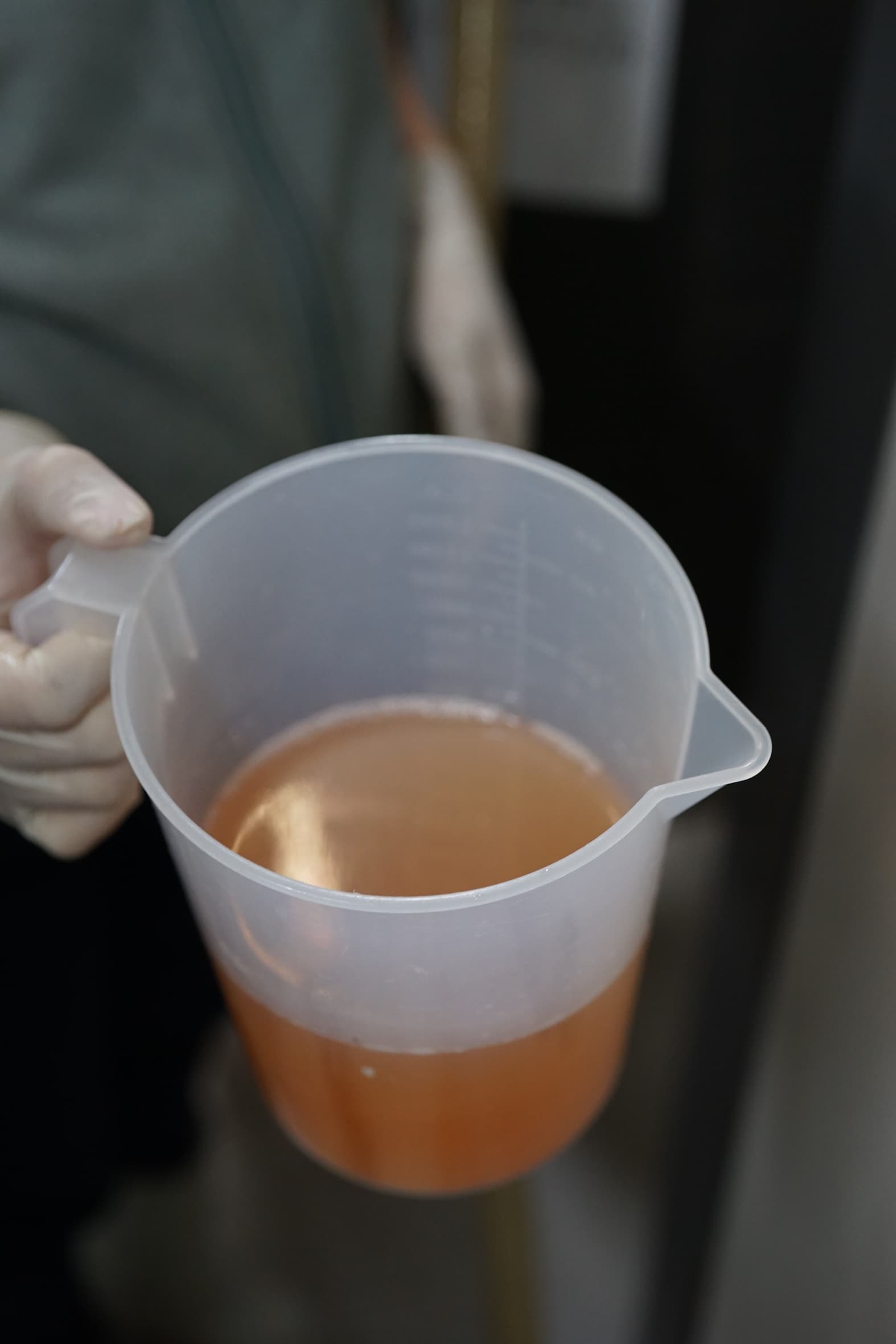 以未成熟的綠果做成的verjus，可作為料理用的醬汁及調味。