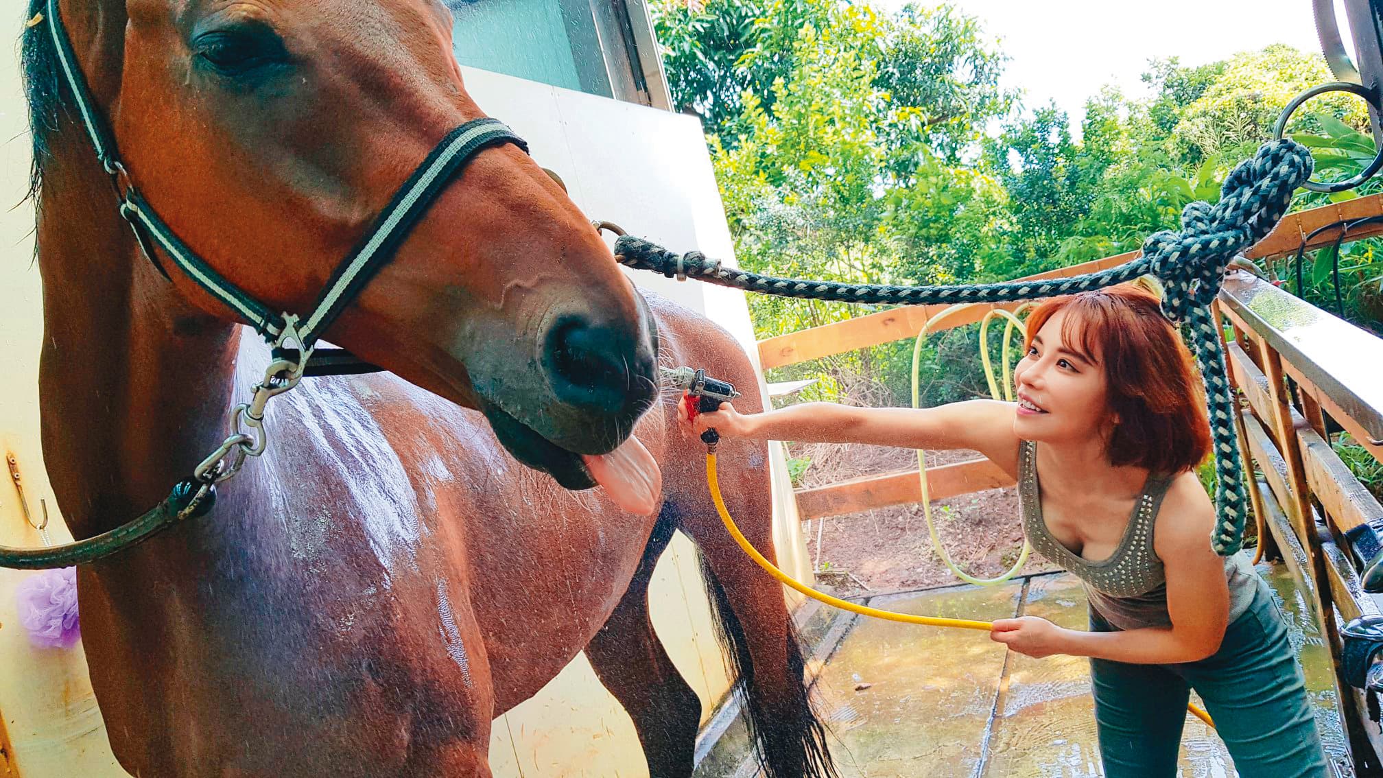 把馬兒當家人,斯容今年春節在馬場度過。(翻攝自斯容臉書)