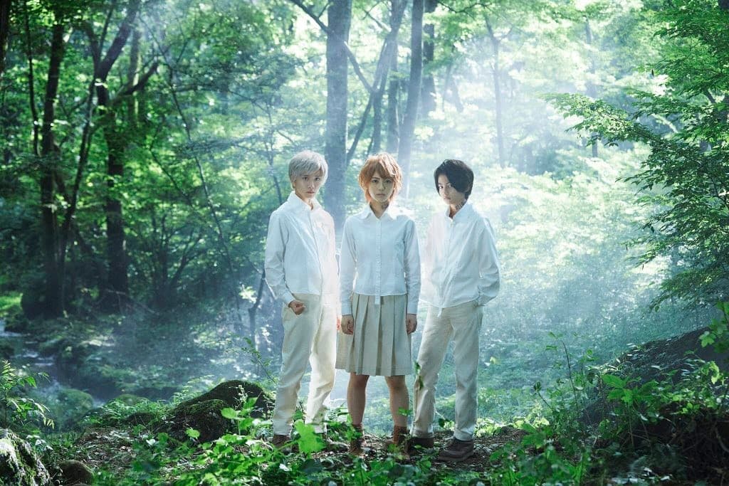 日本拍攝的《約定的夢幻島》真人電影版由《狂賭之淵》真人版演員濱邊美波(19 歲)飾演艾瑪、《小偷家族》城檜吏(13 歲)飾演雷、《假面騎士 Zi-O》板垣李光人(18 歲)飾演諾曼。