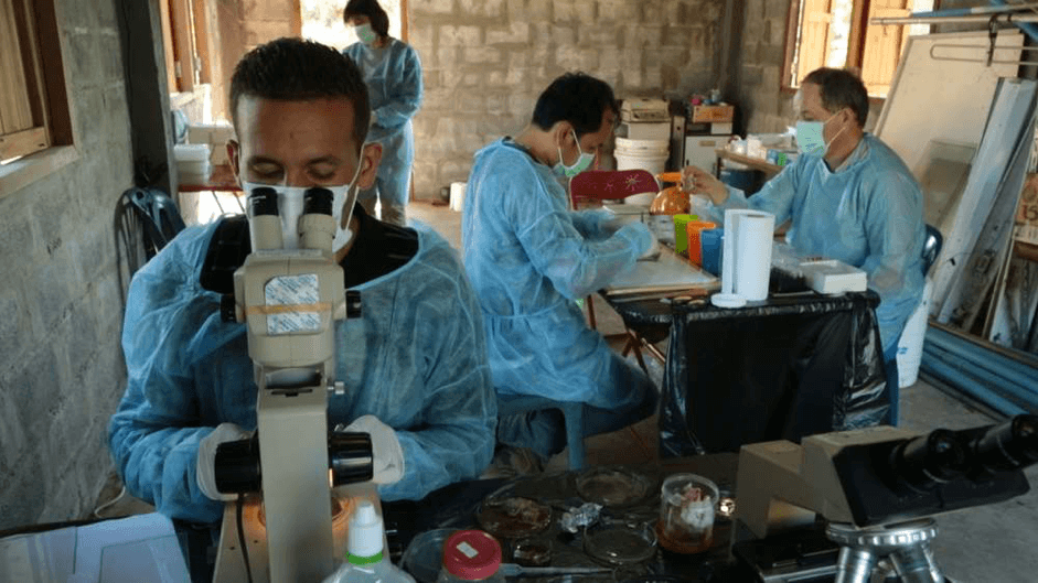 紀錄片《流行病:看不見的威脅》追溯病源危機,探討人類與環境的關係。(公視提供)