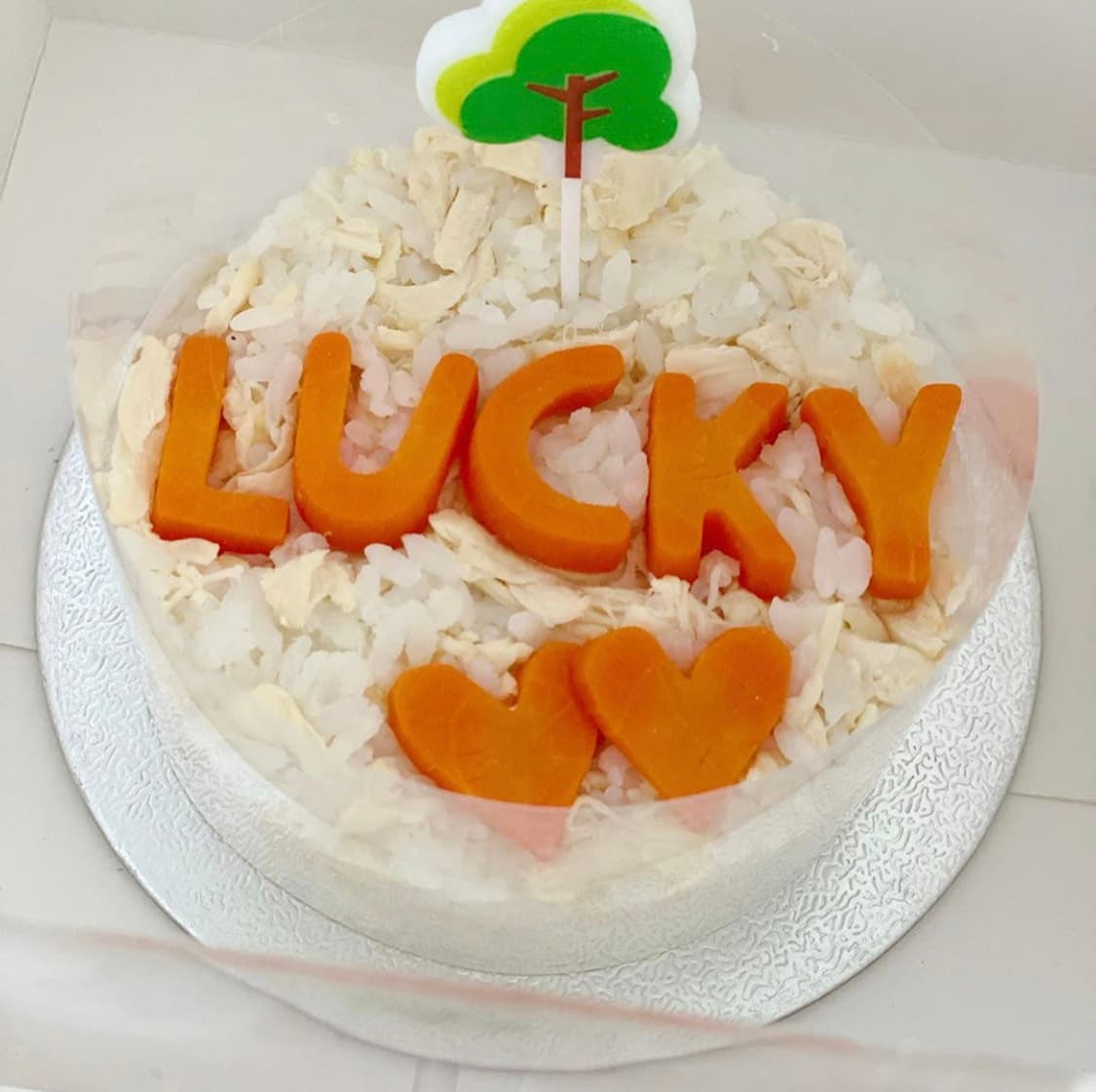 因為愛犬年老,所以鄭秀文用一個雞肉做的蛋糕來為Lucky慶祝。(翻攝自鄭秀文IG)