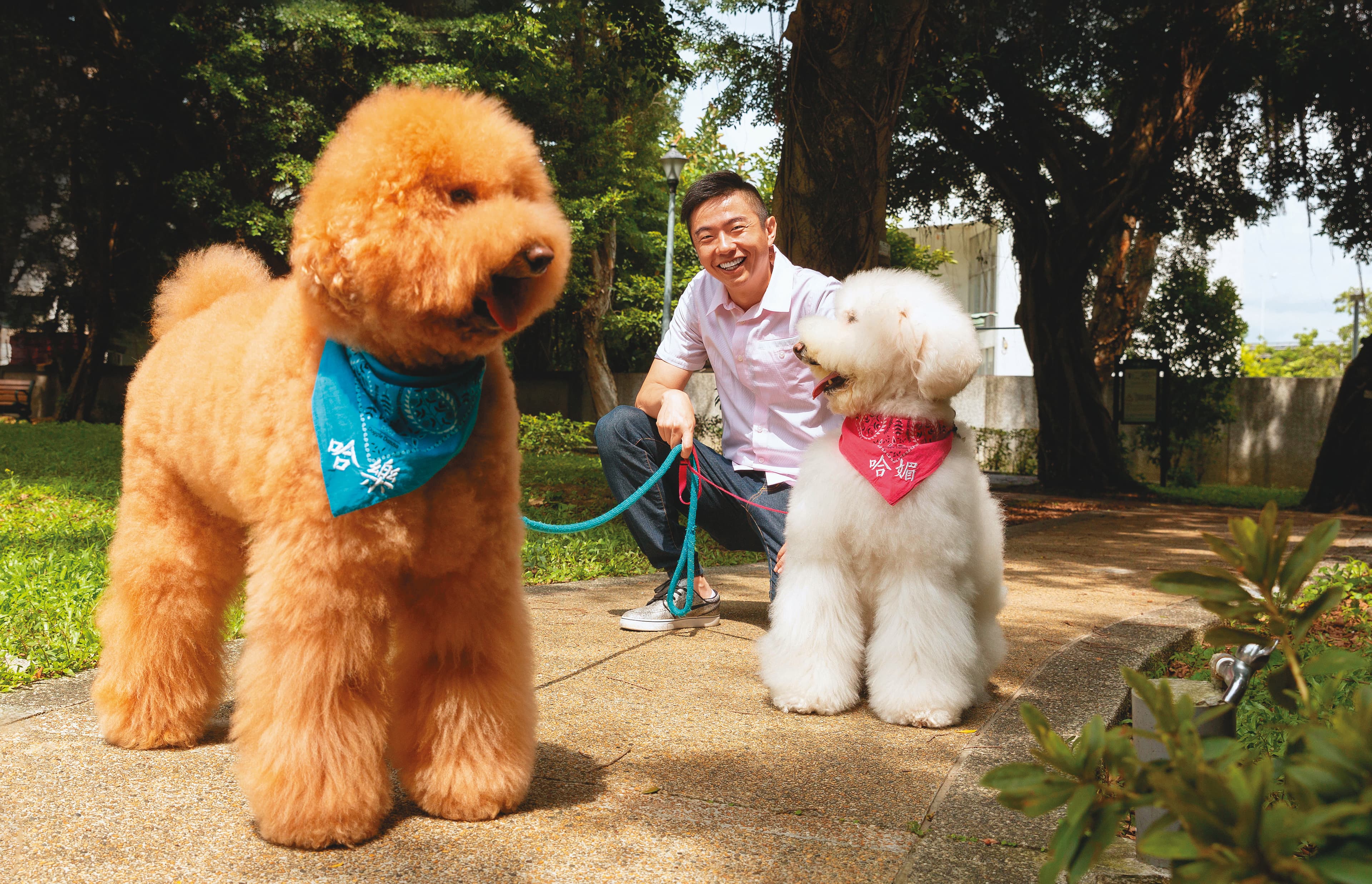 熊爸帶著明星犬哈樂跟哈媚接受訪問,兩隻經過訓練的狗狗配合度很高。