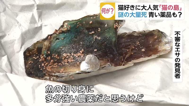 居民在島上發現顏色怪異的魚肉和飼料,當時猜測為農藥之類的藥品。