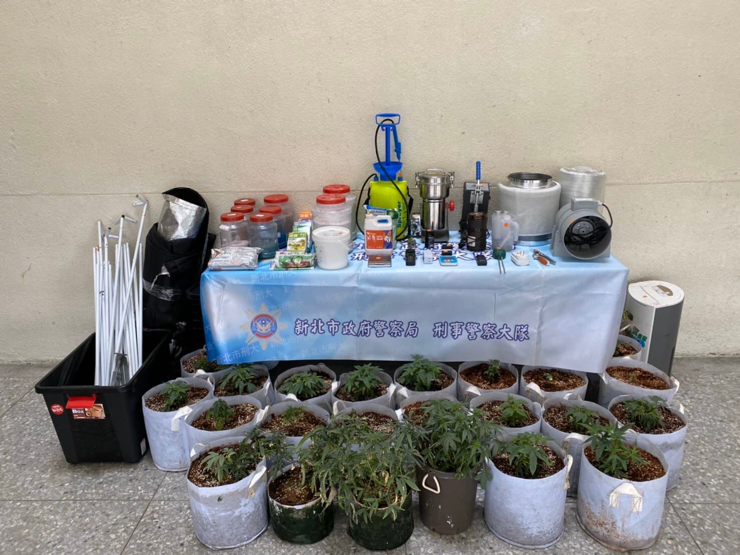警方在游嫌住處起出大批大麻種子、活株、乾燥成品及栽種設備。（翻攝畫面）